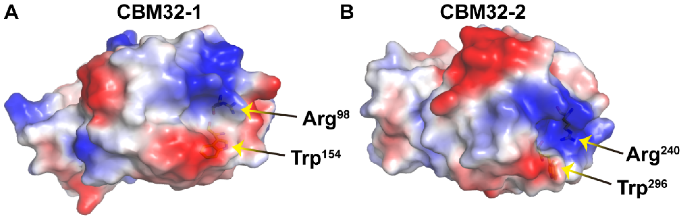 Ijms 23 04795 g007 Ijms 23 04795 g007