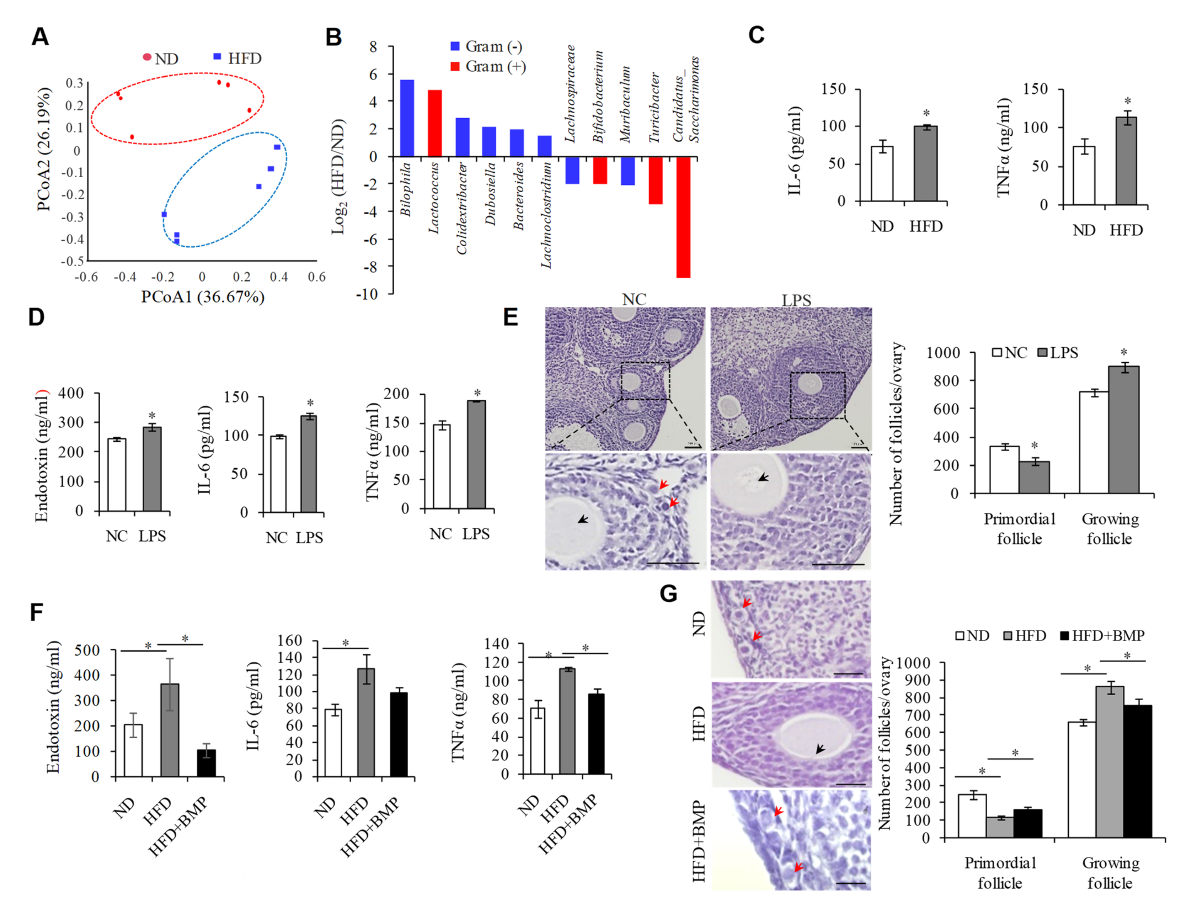 Ijms 23 04797 g001 Ijms 23 04797 g001