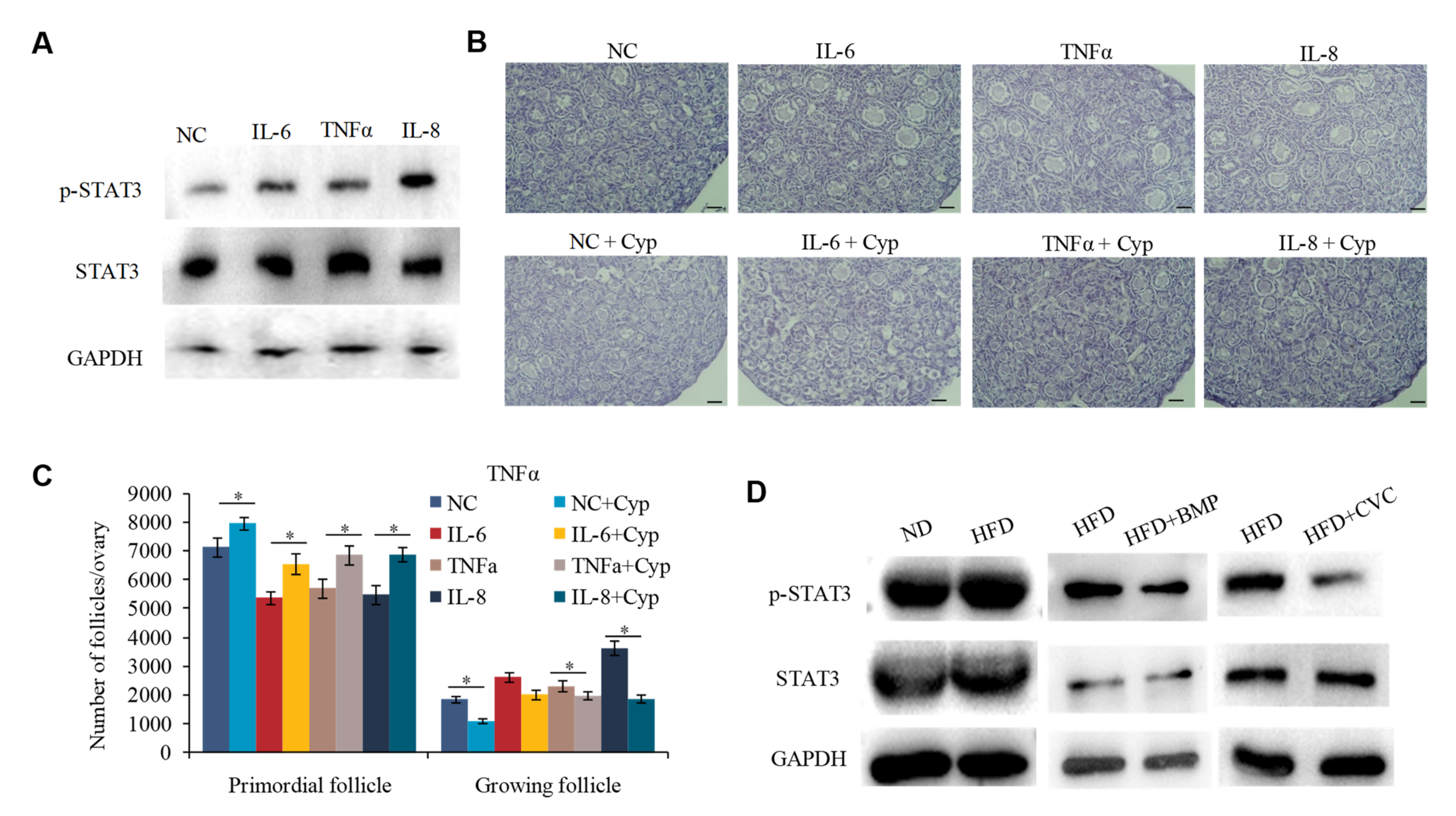 Ijms 23 04797 g005 Ijms 23 04797 g005