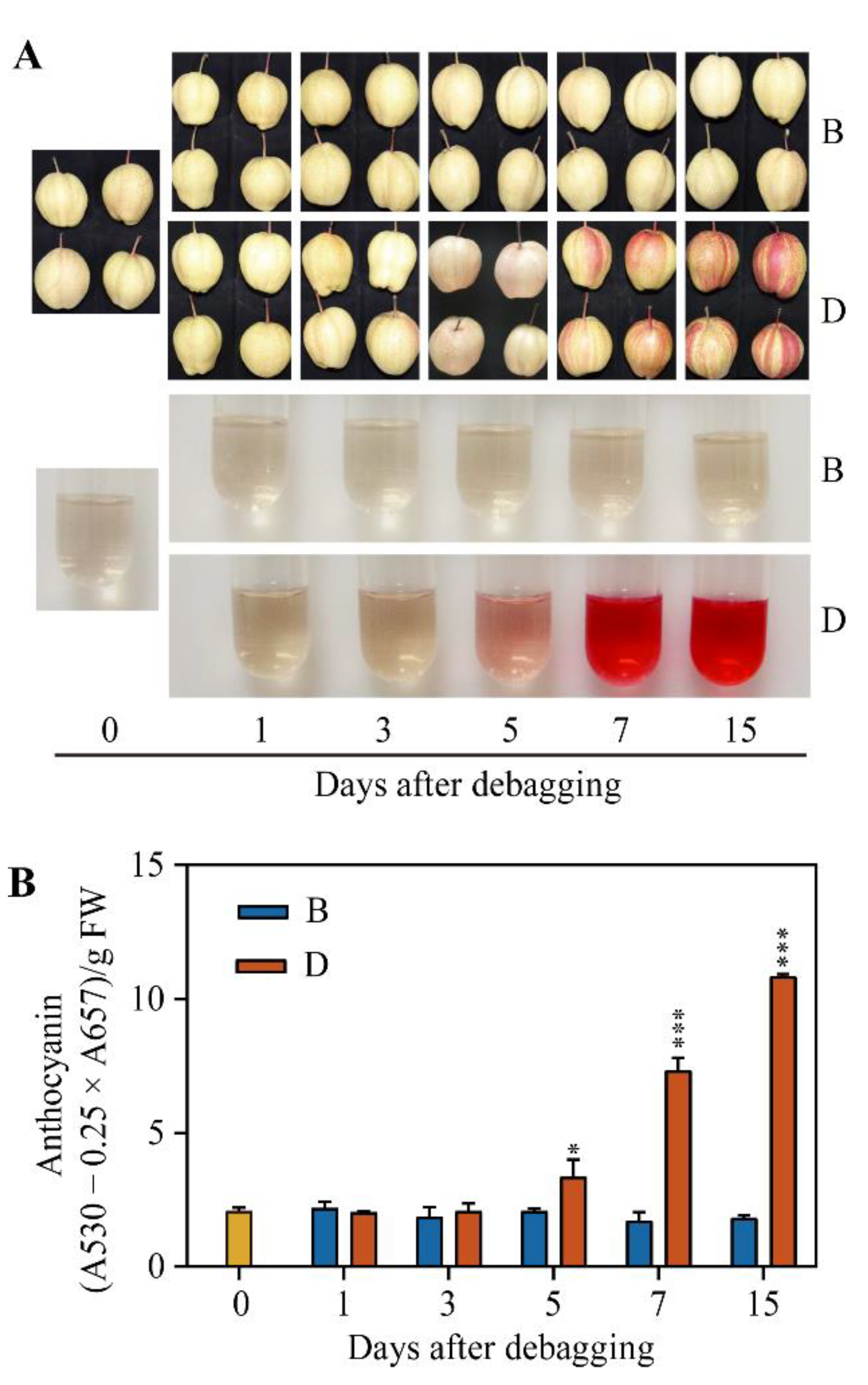 Ijms 23 04798 g001 550