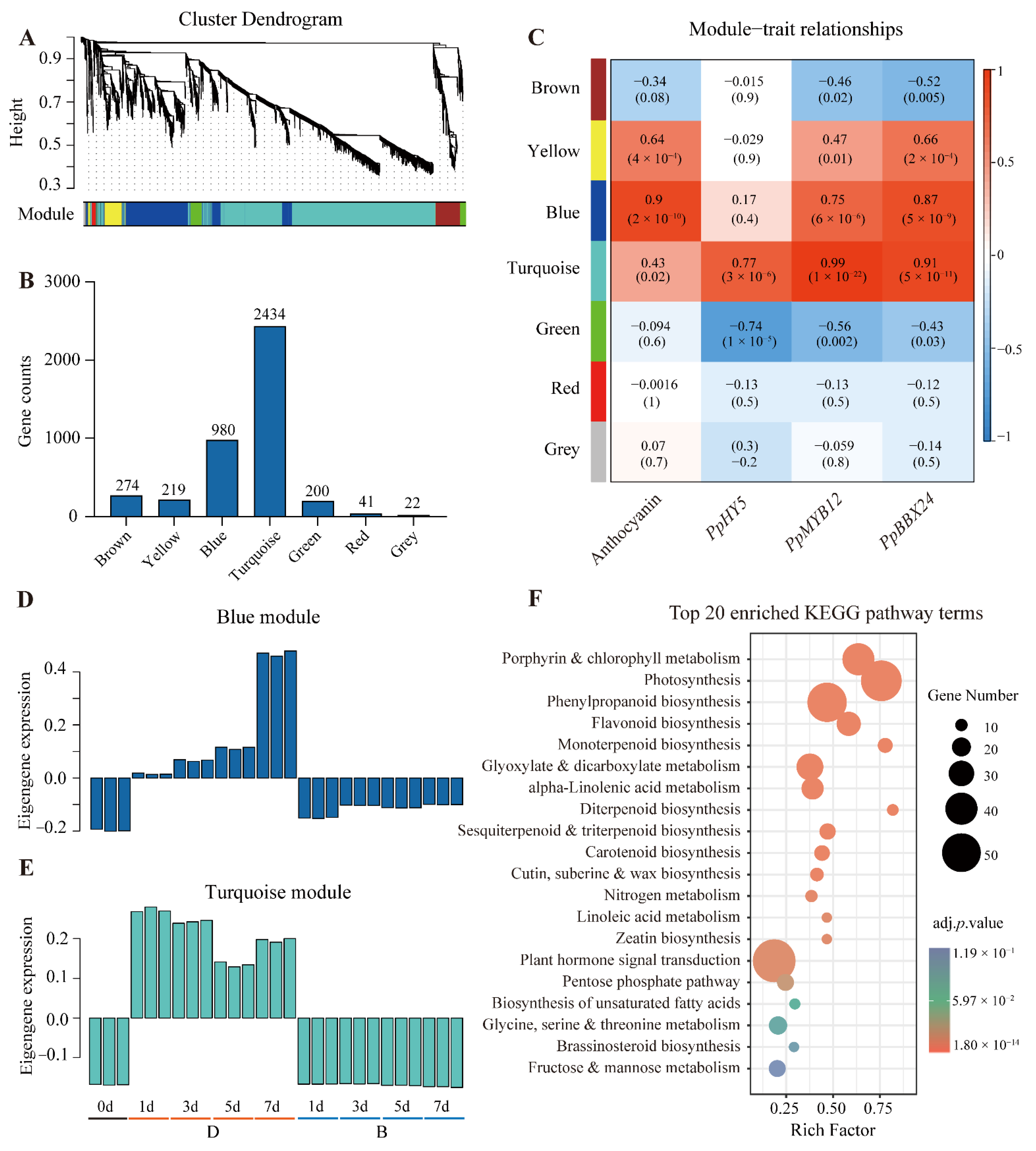 Ijms 23 04798 g005 550