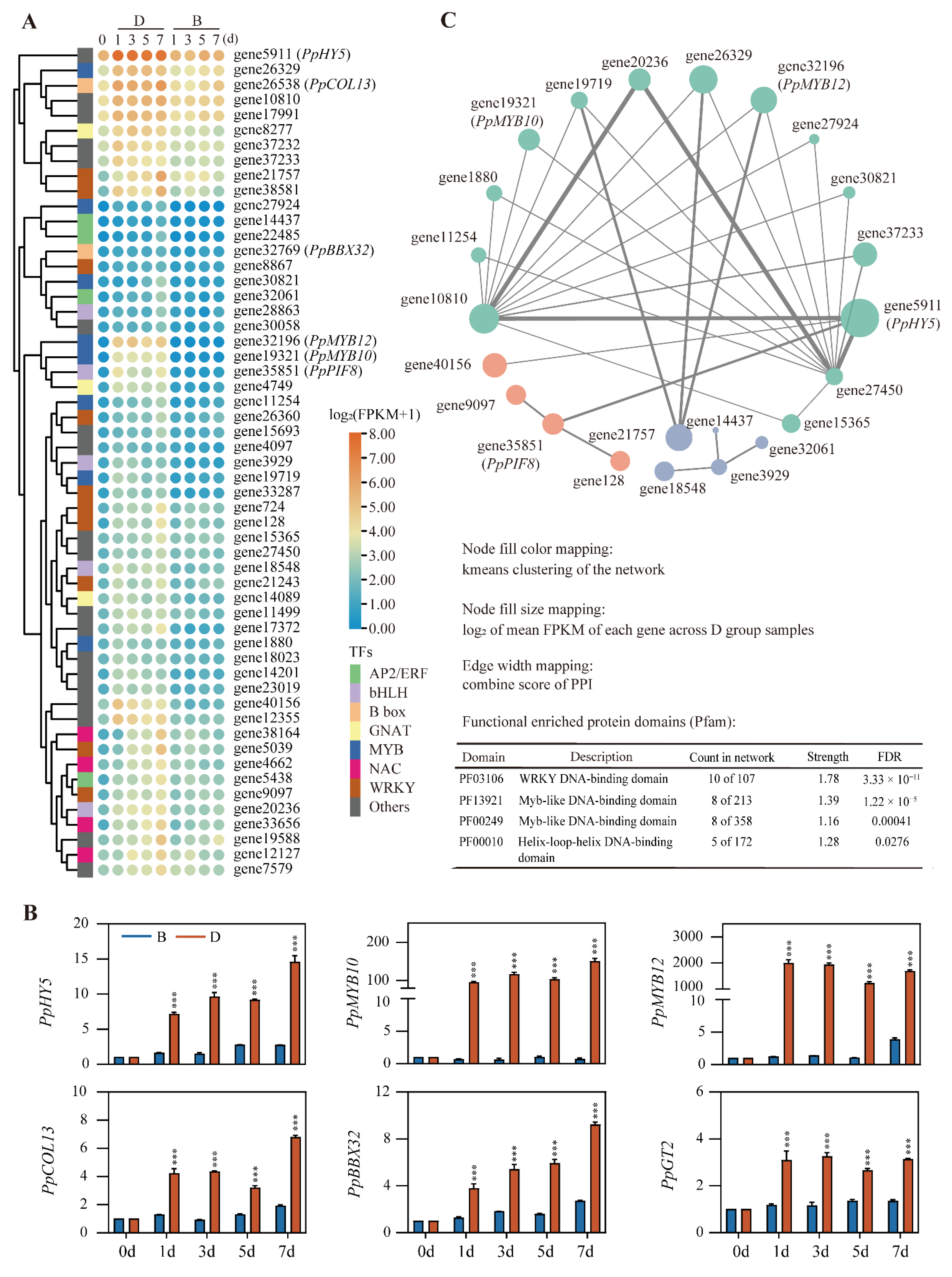 Ijms 23 04798 g006 550