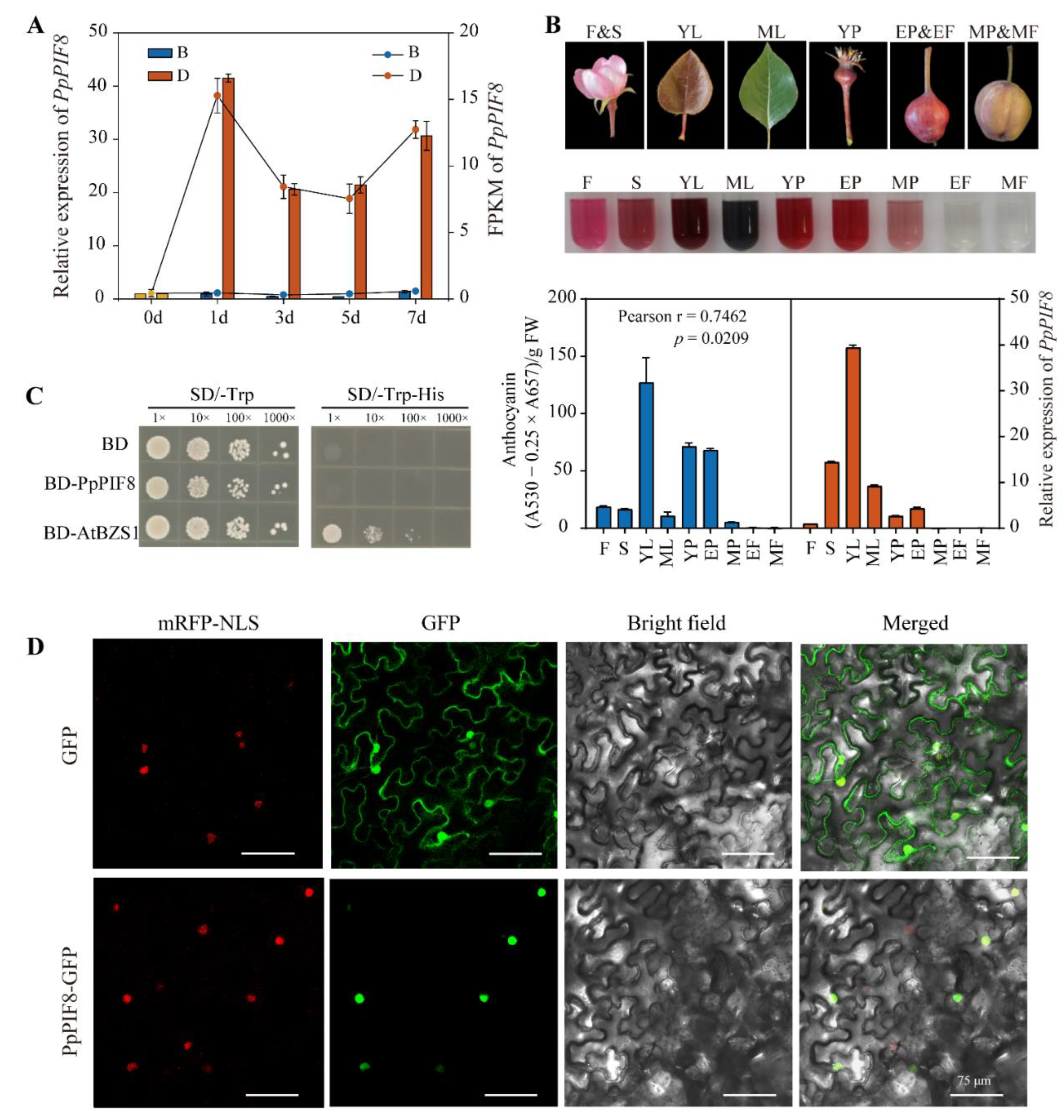Ijms 23 04798 g009 550