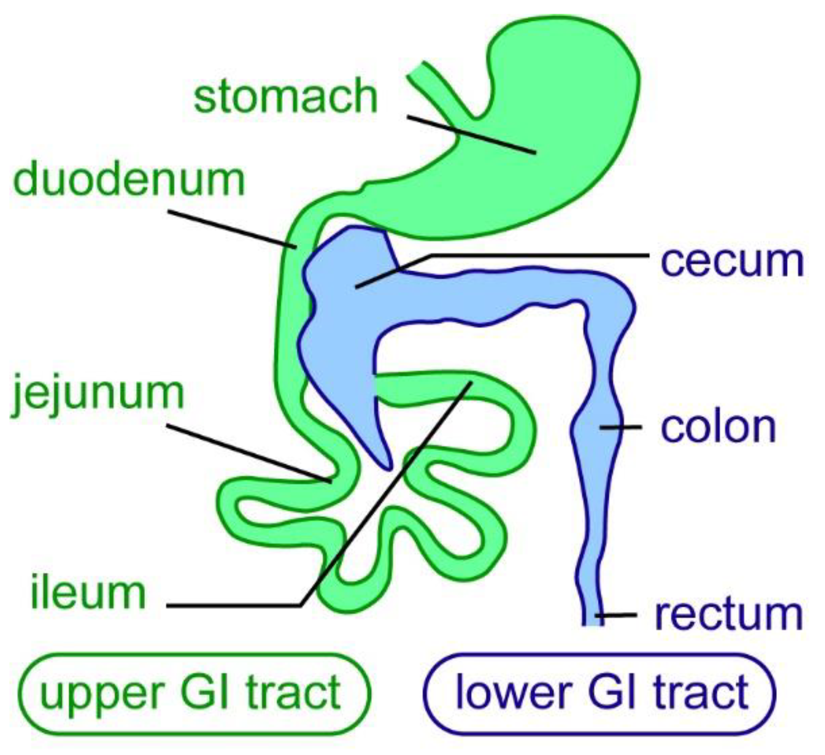 Ijms 23 04799 g001 Ijms 23 04799 g001