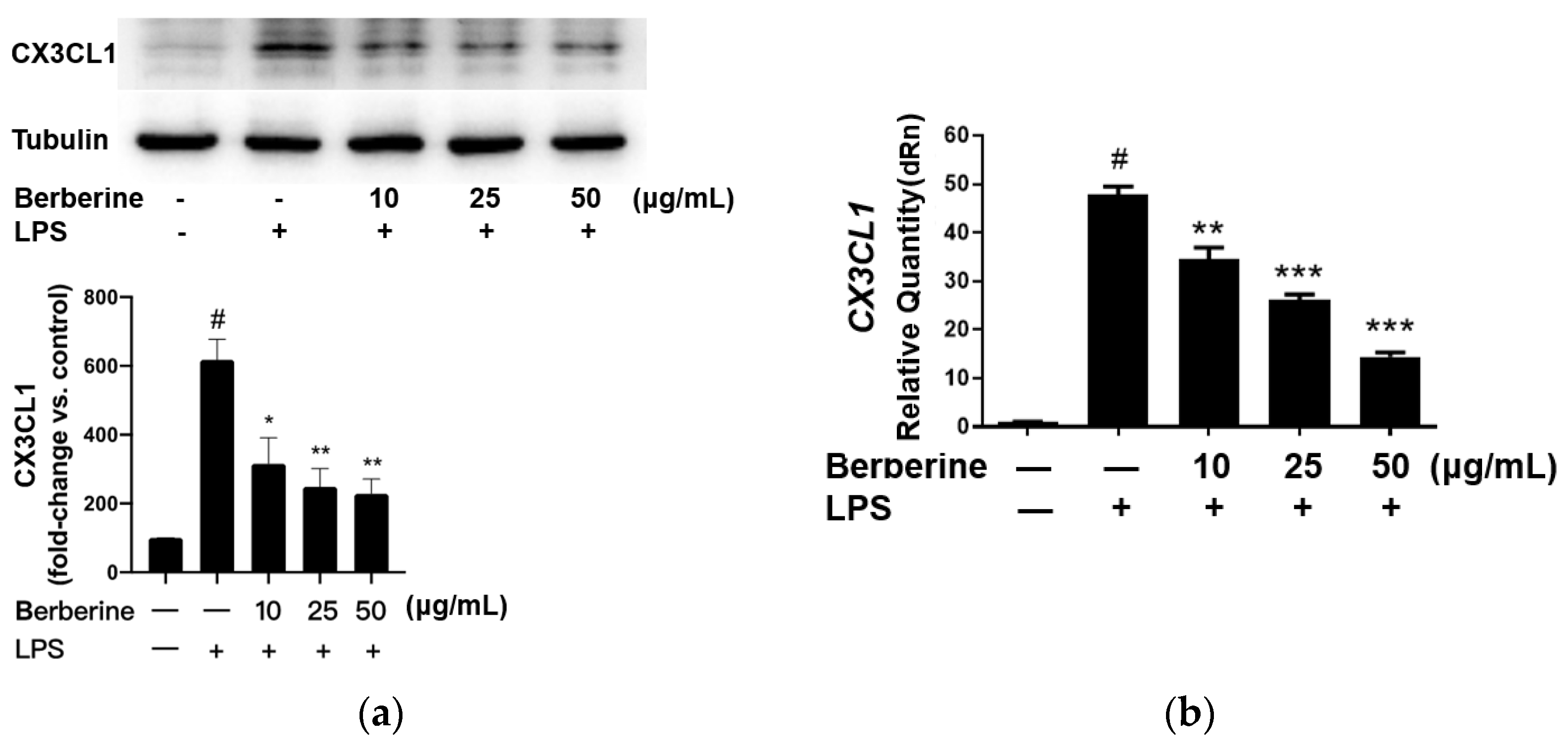 Ijms 23 04801 g002 550