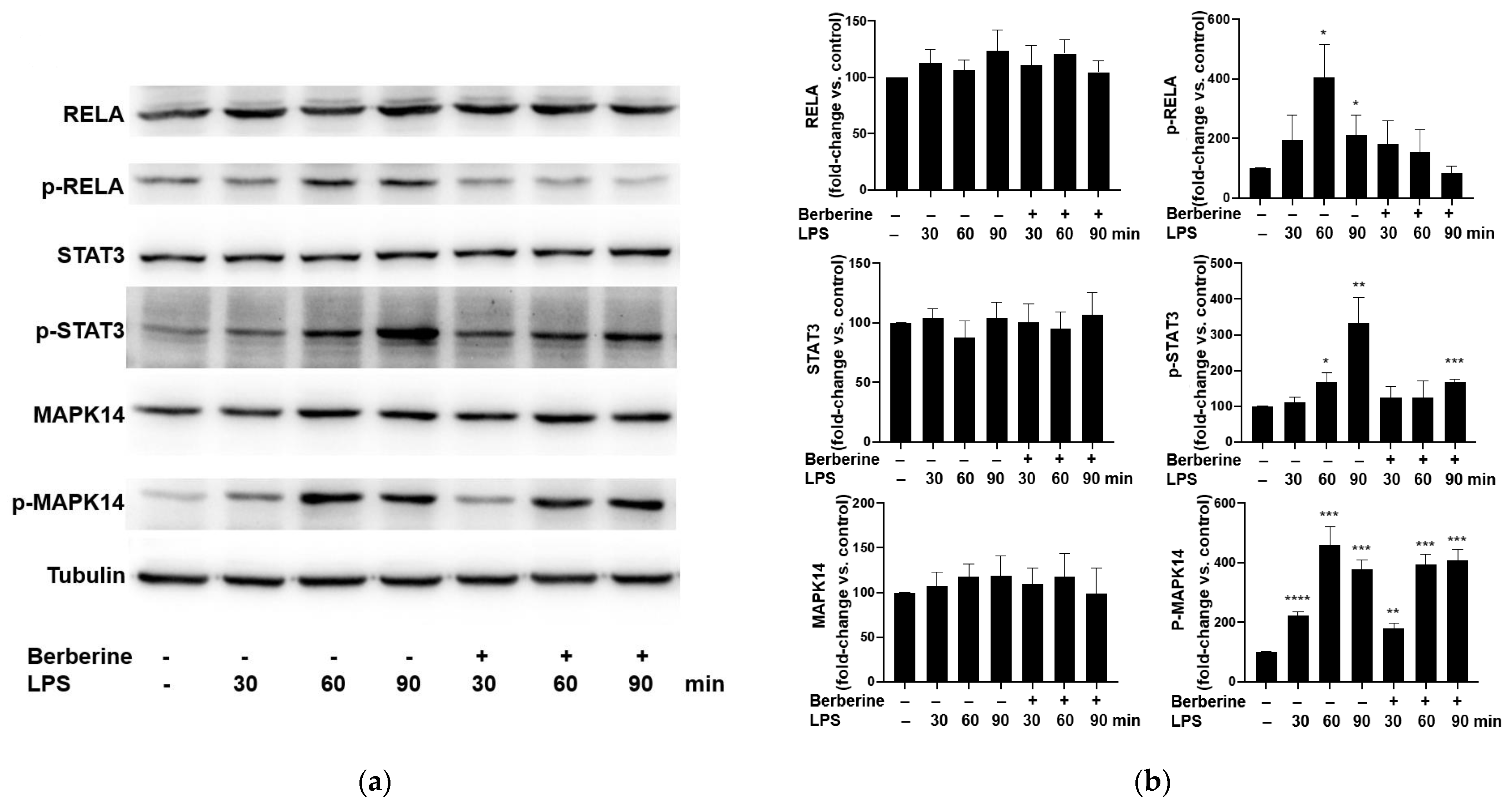 Ijms 23 04801 g003 550