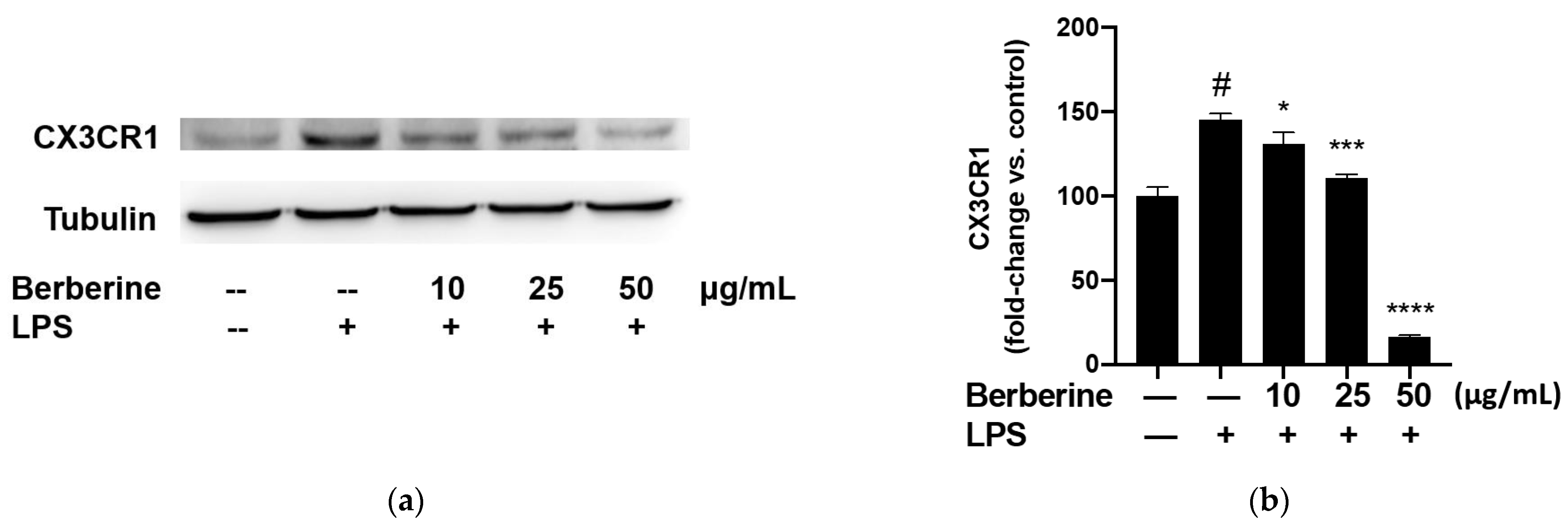 Ijms 23 04801 g004 550