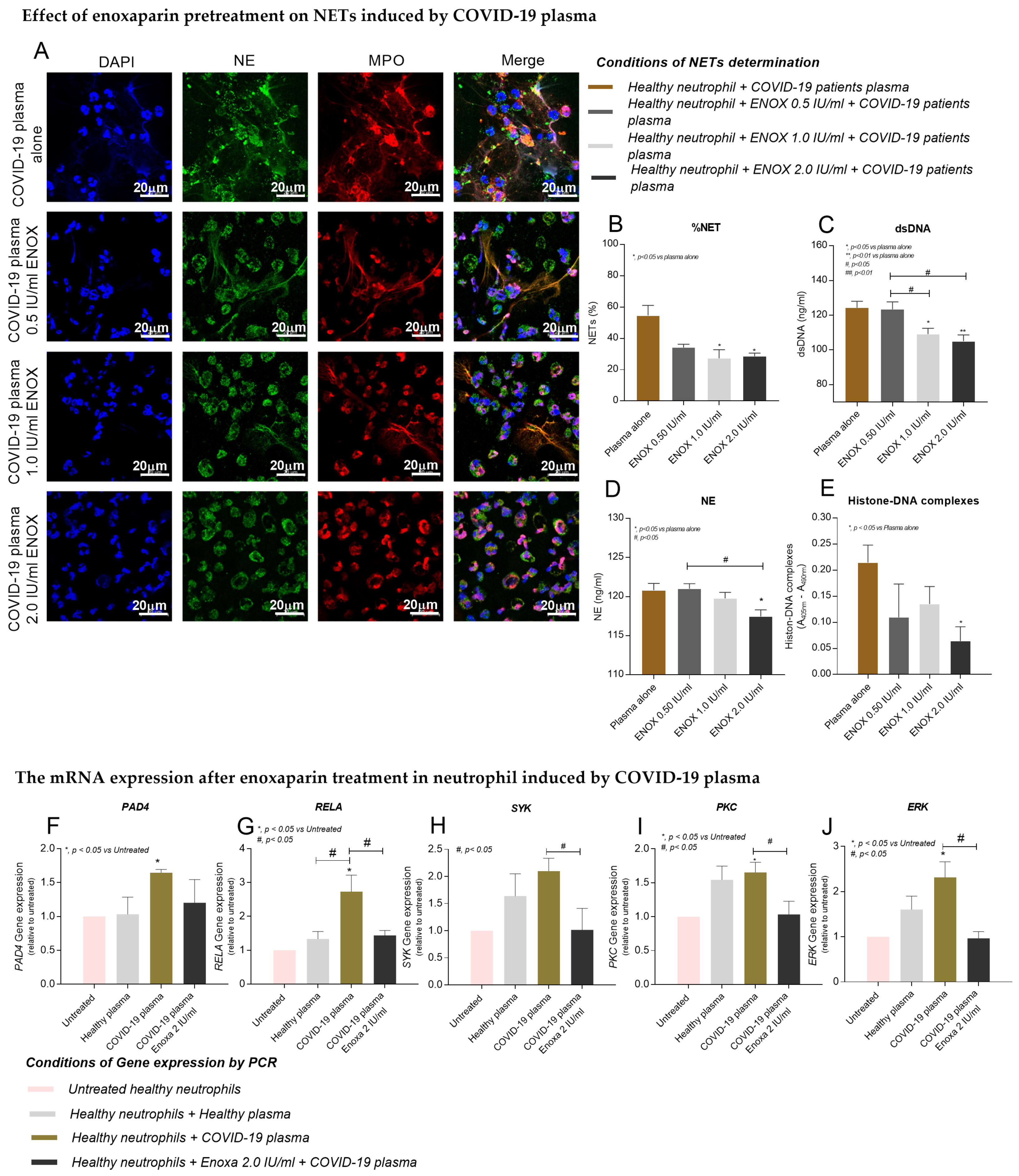 Ijms 23 04805 g002 550