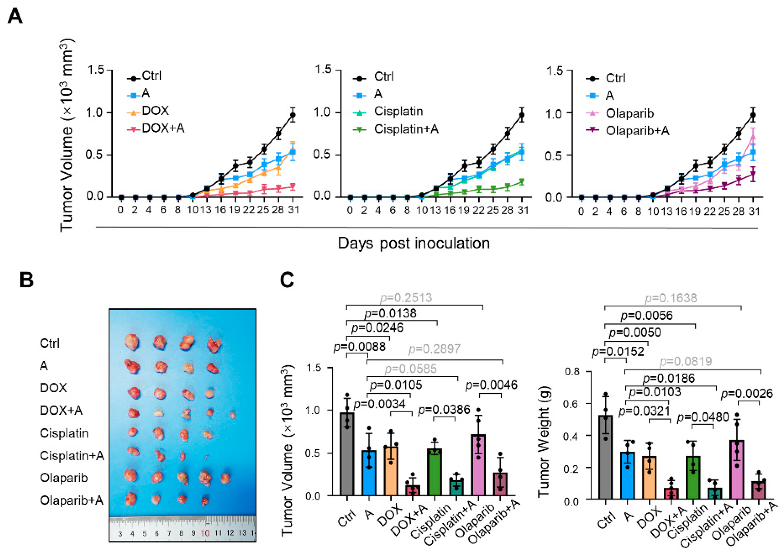 Ijms 23 04806 g012 550
