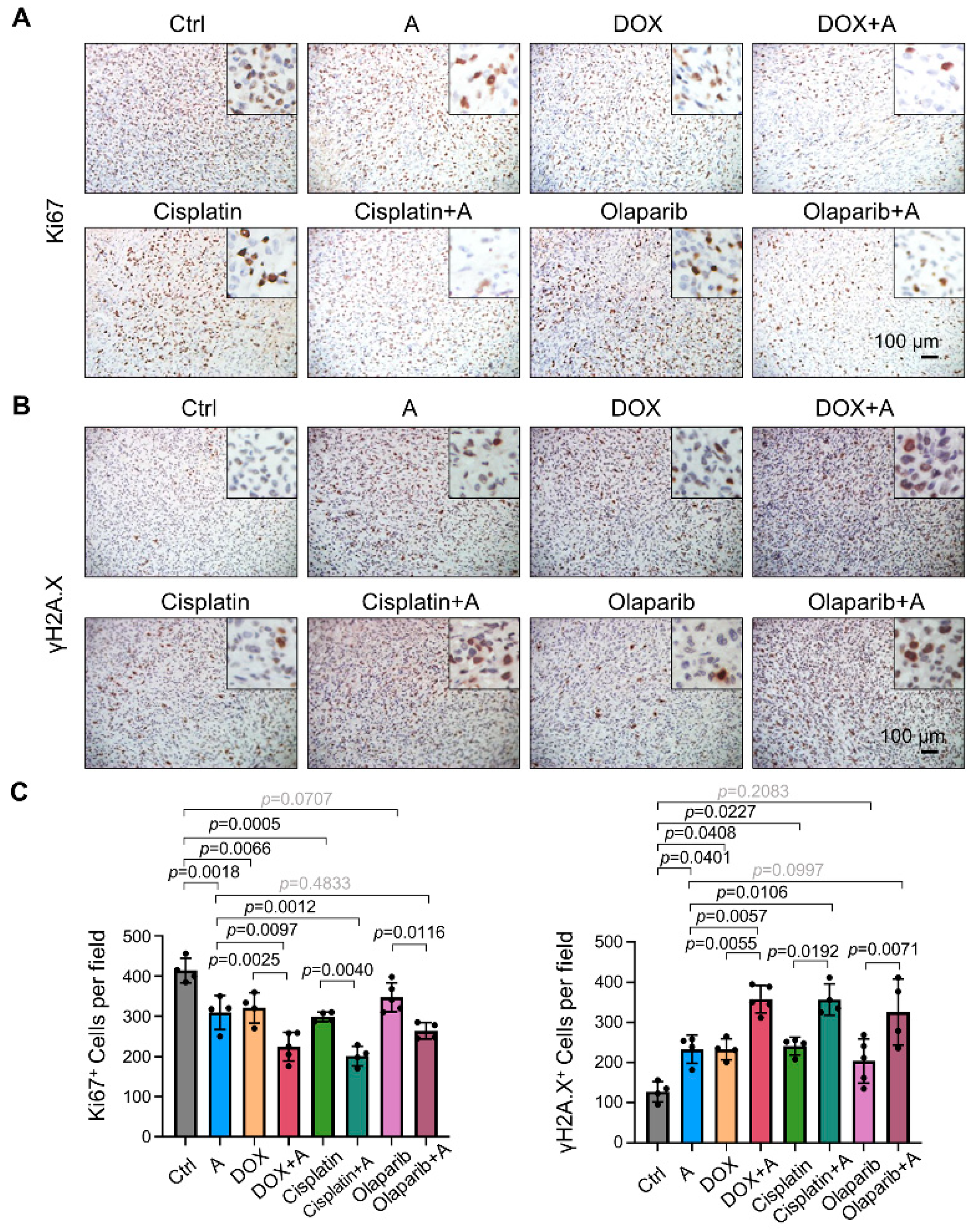 Ijms 23 04806 g013 550