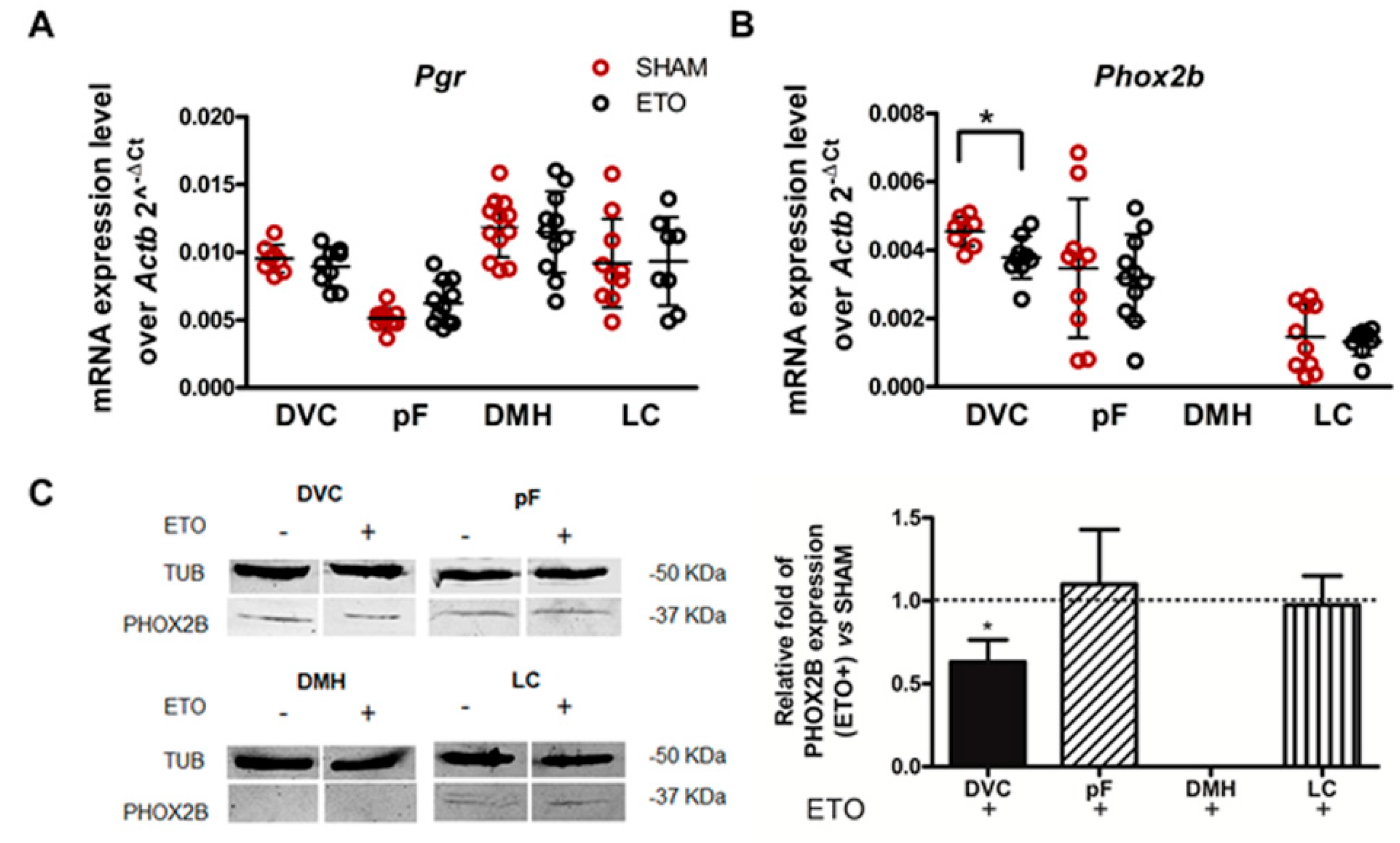 Ijms 23 04816 g001 Ijms 23 04816 g001