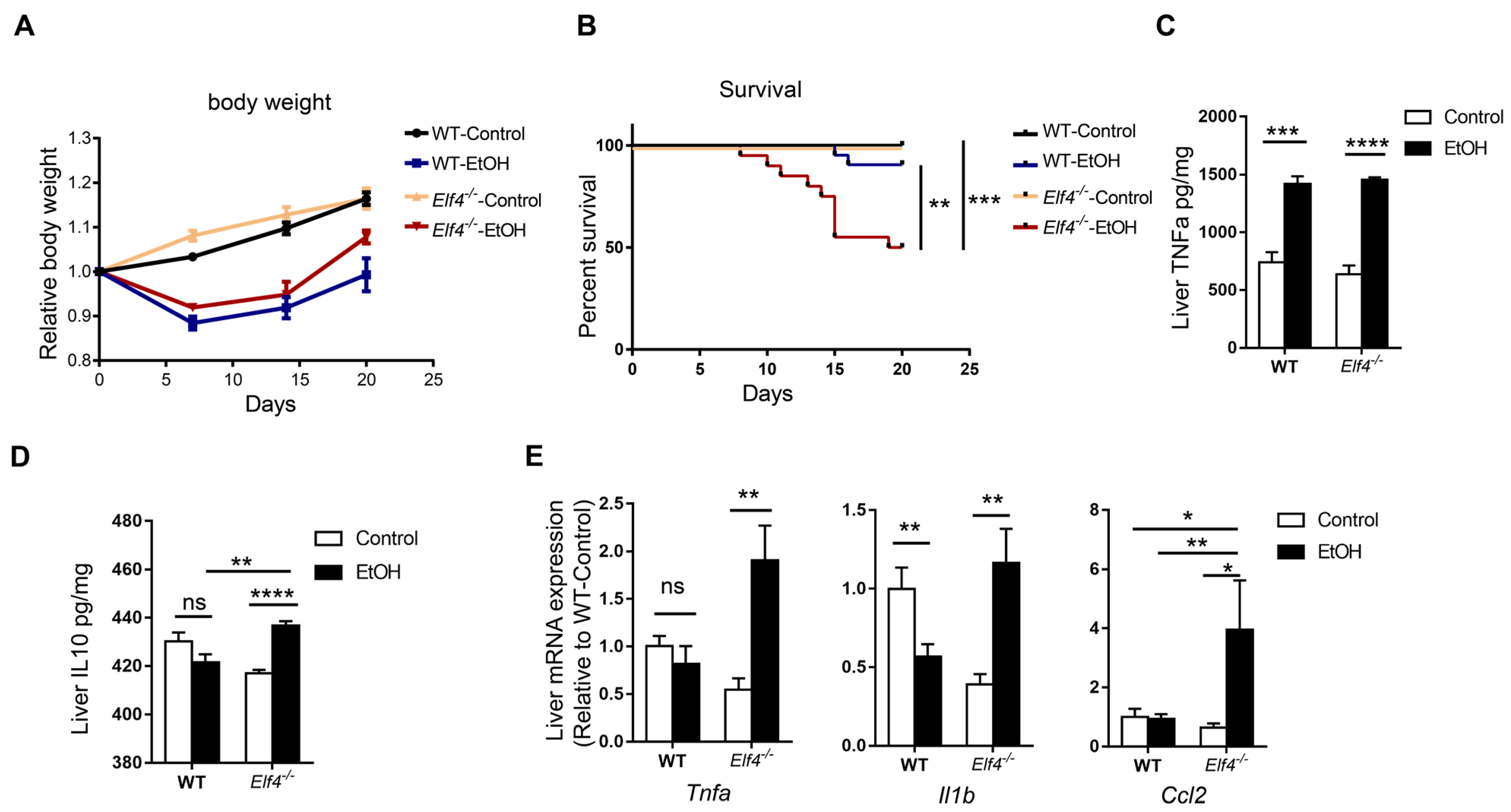 Ijms 23 04825 g004 550