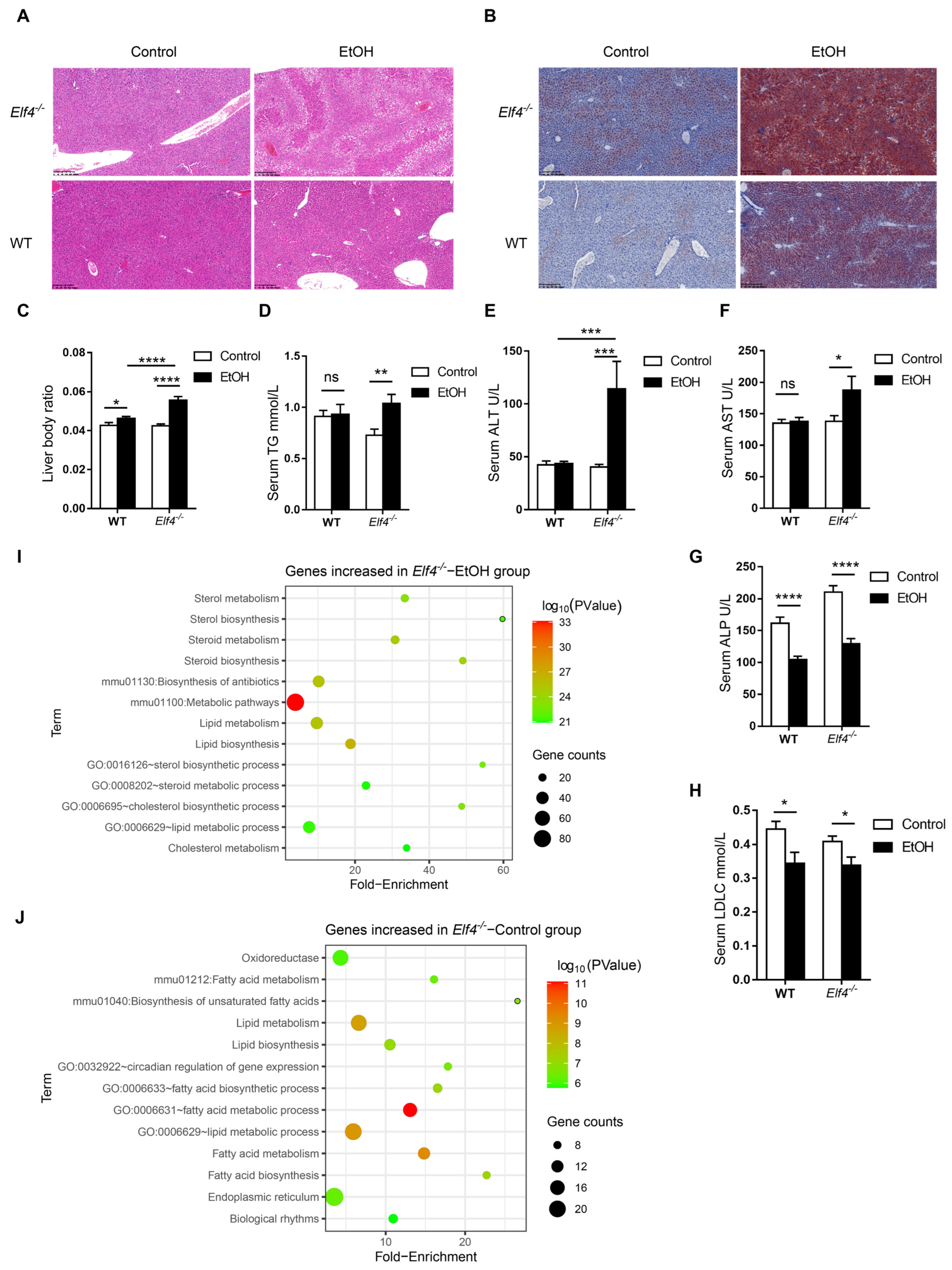 Ijms 23 04825 g005 550