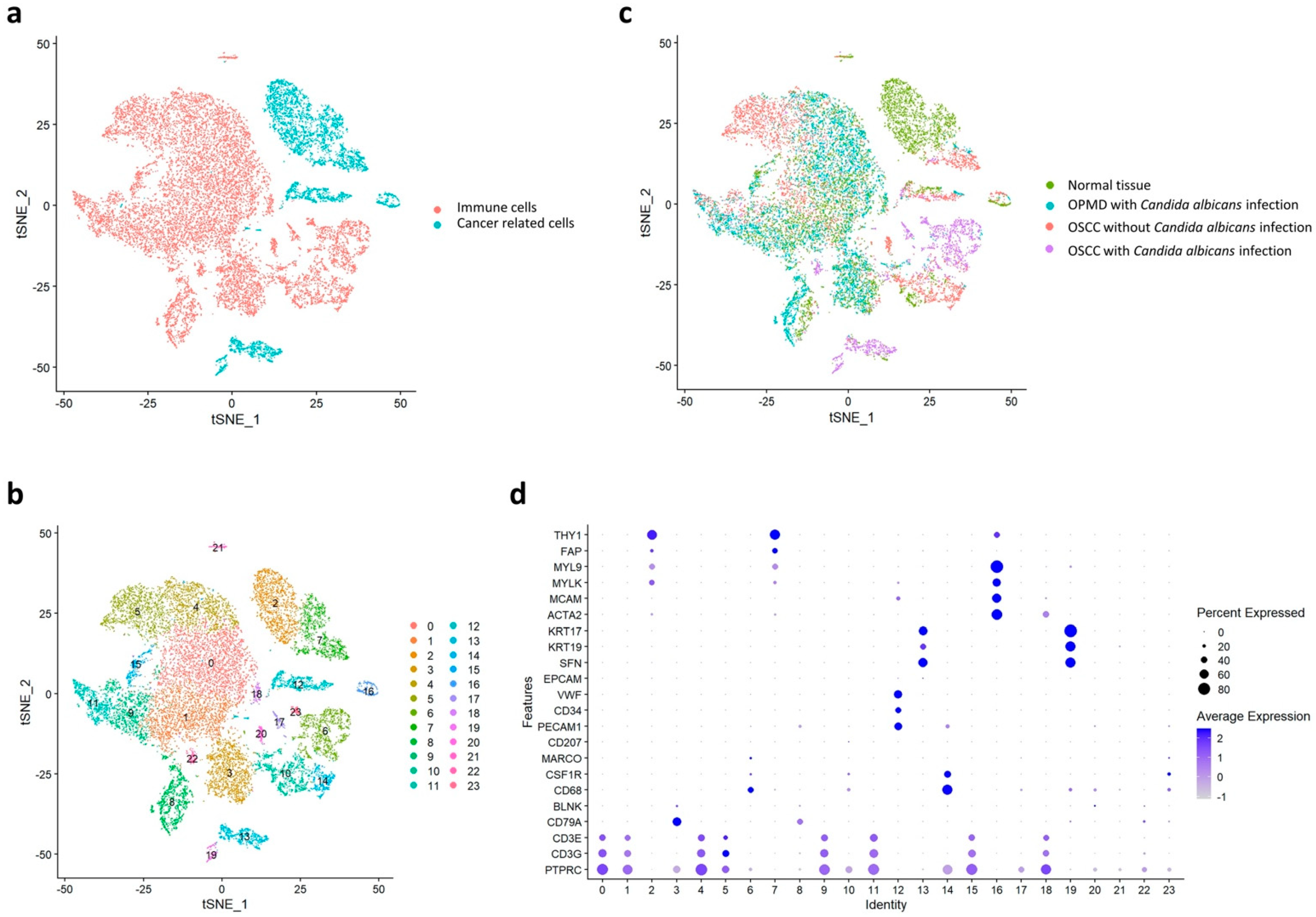 Ijms 23 04833 g001 550