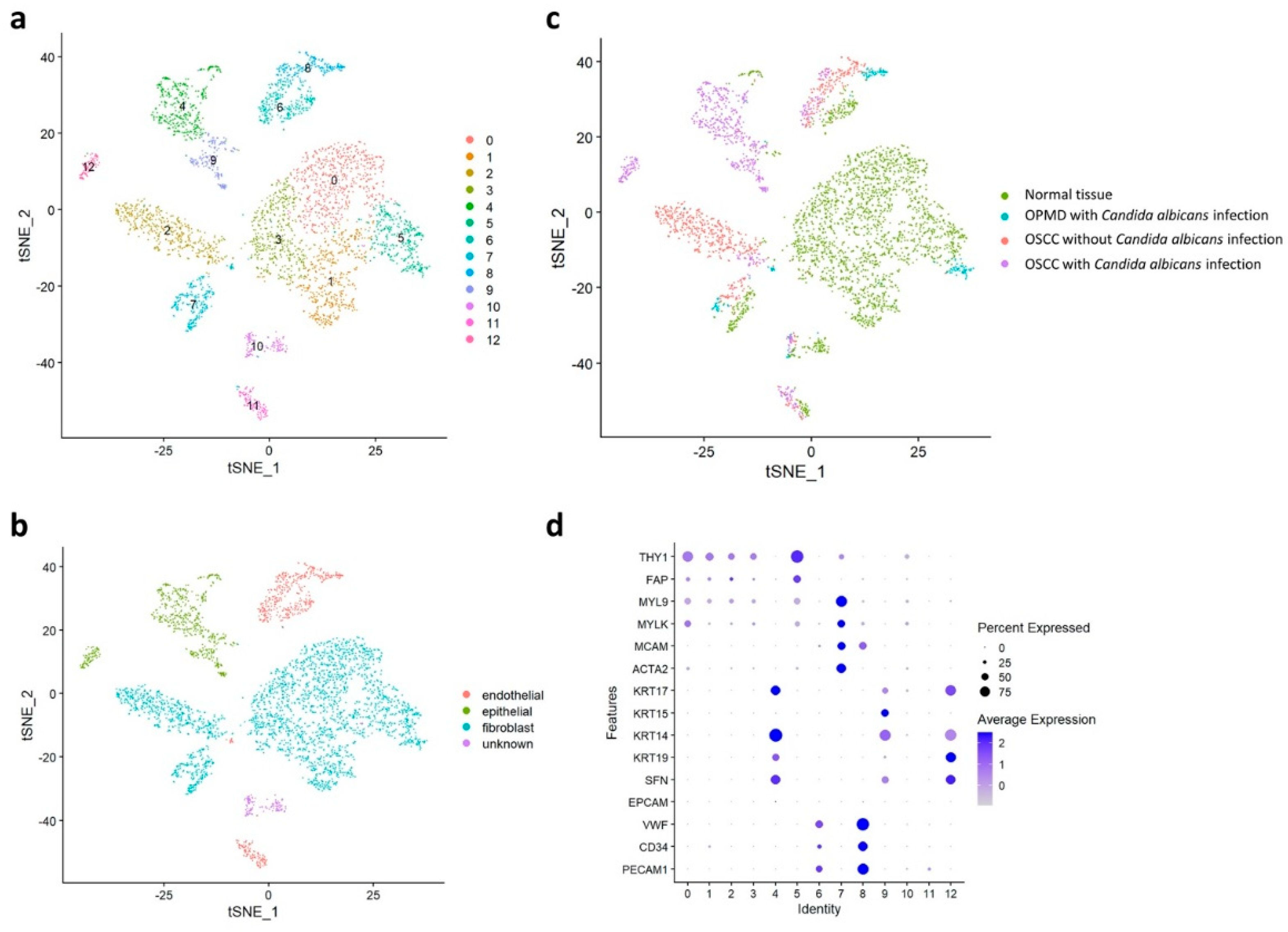 Ijms 23 04833 g002 550