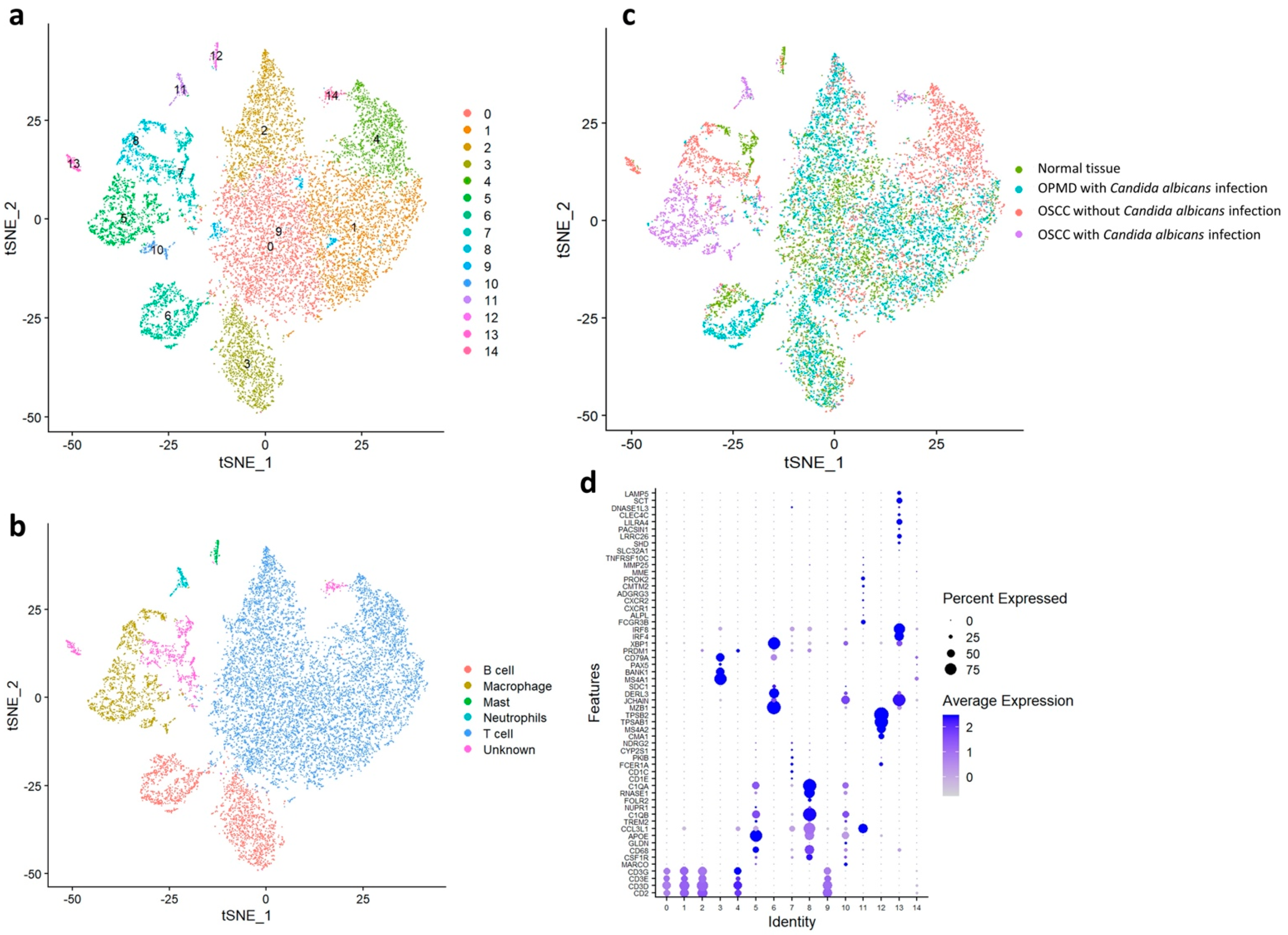 Ijms 23 04833 g003 550