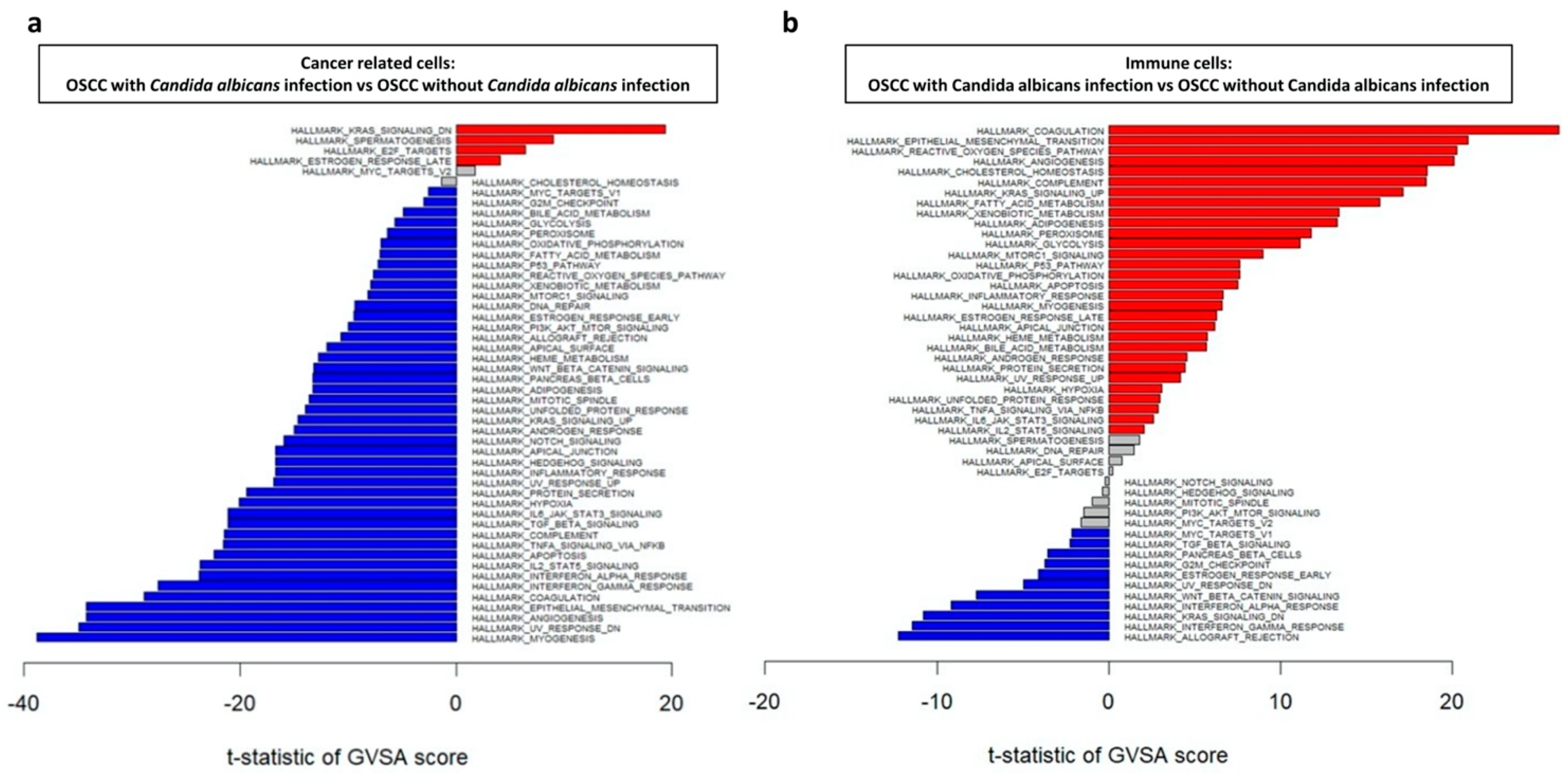 Ijms 23 04833 g005 550