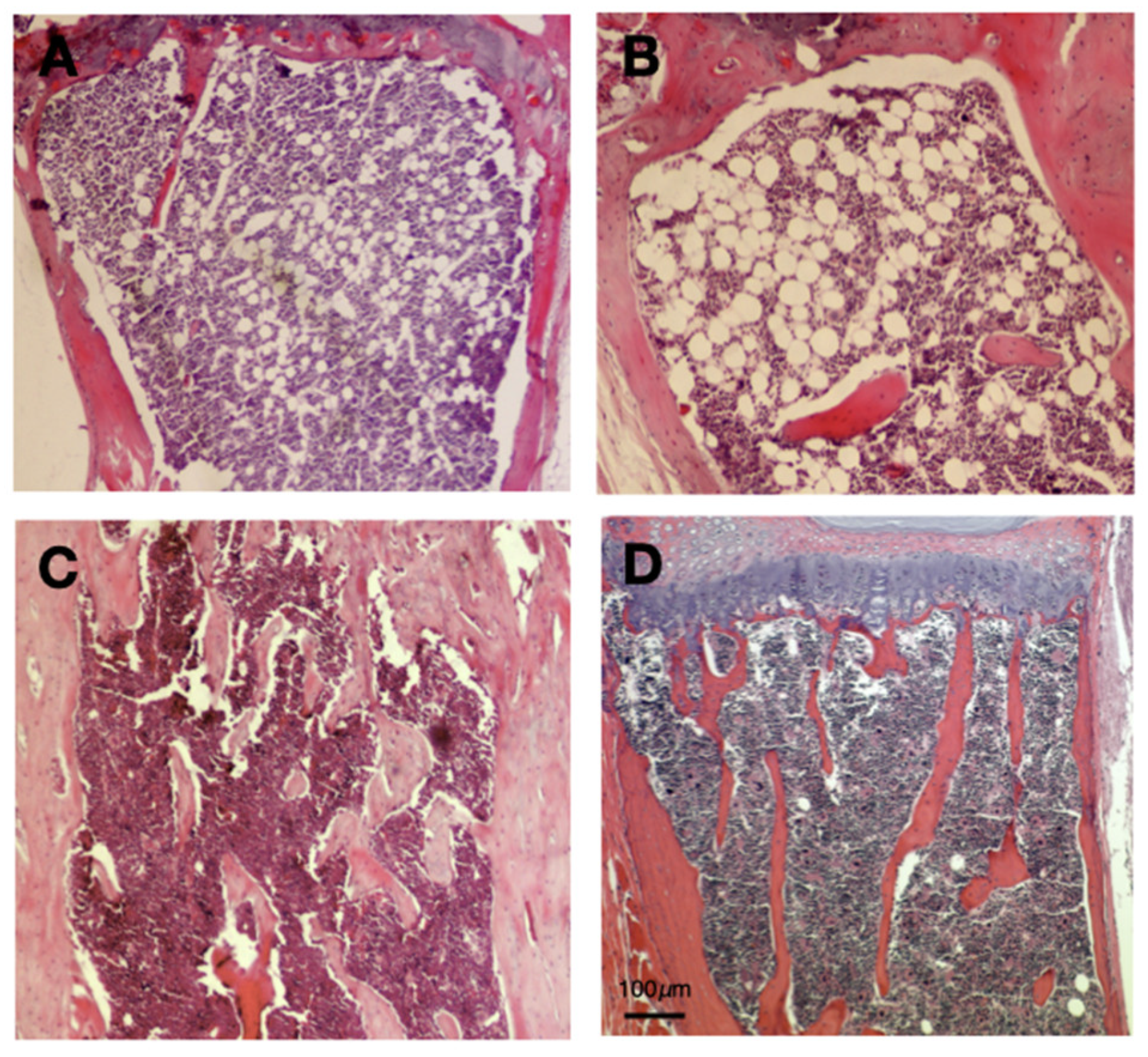 Ijms 23 04834 g001 Ijms 23 04834 g001