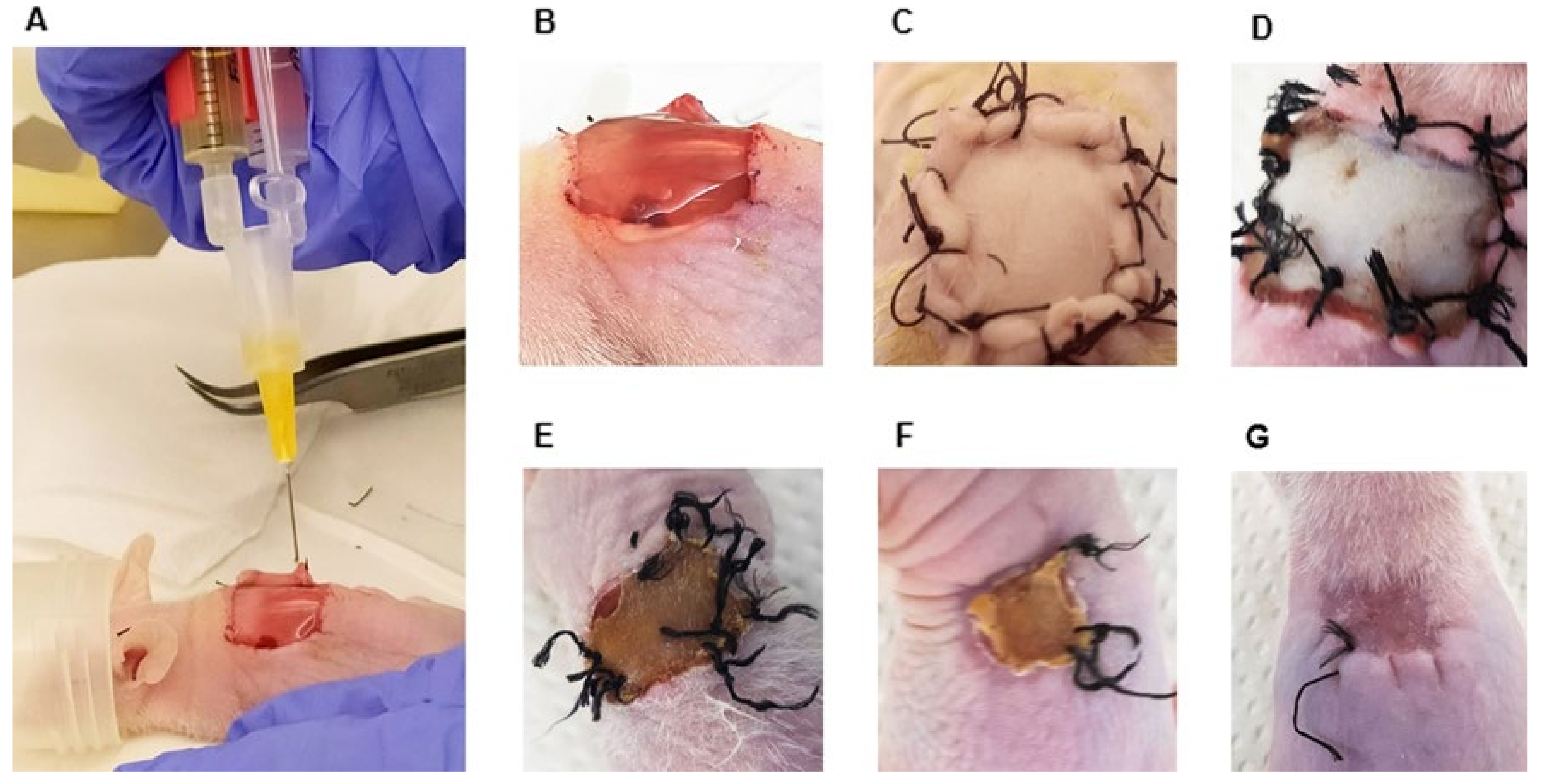 Ijms 23 04837 g003 550