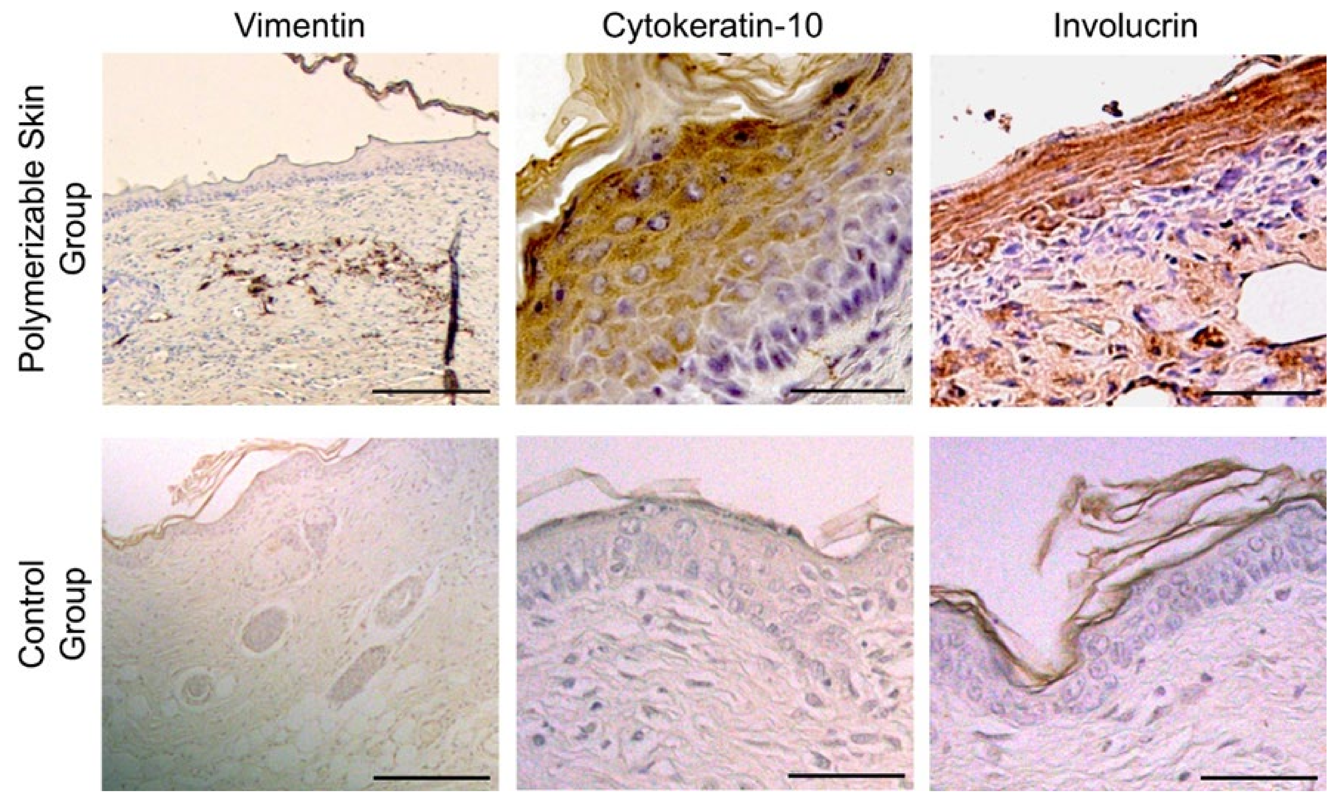 Ijms 23 04837 g004 550