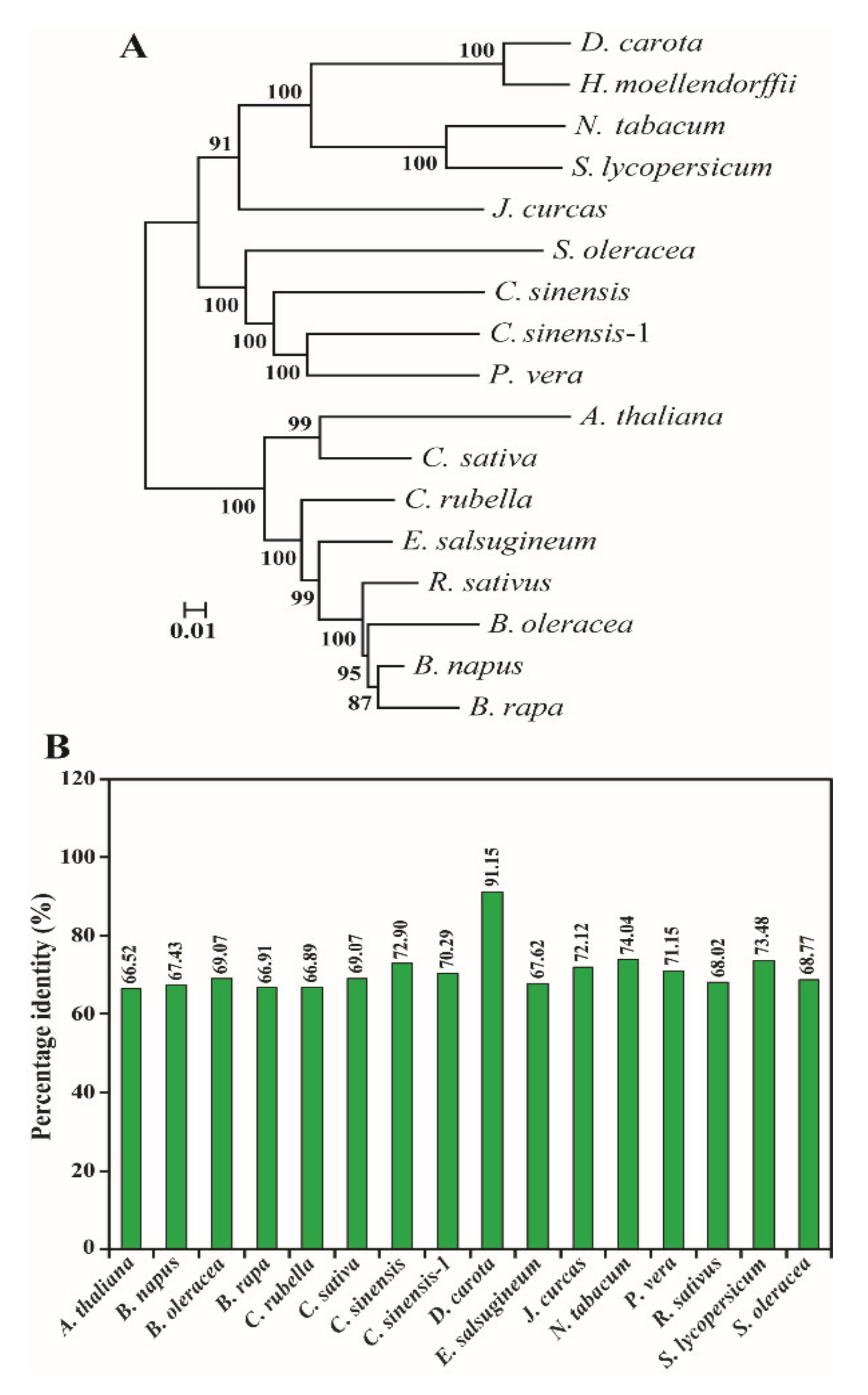 Ijms 23 04845 g003 550