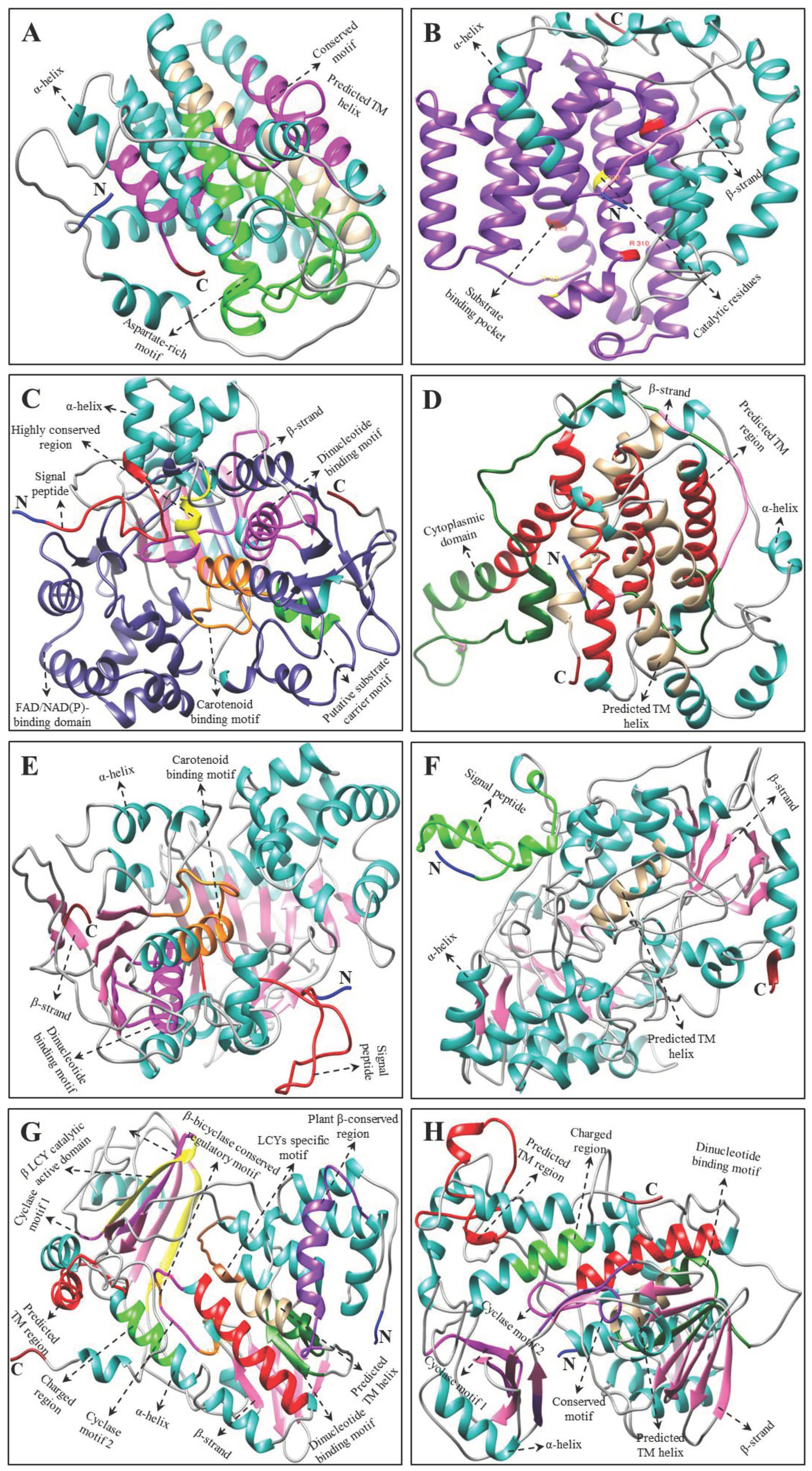 Ijms 23 04845 g004 550