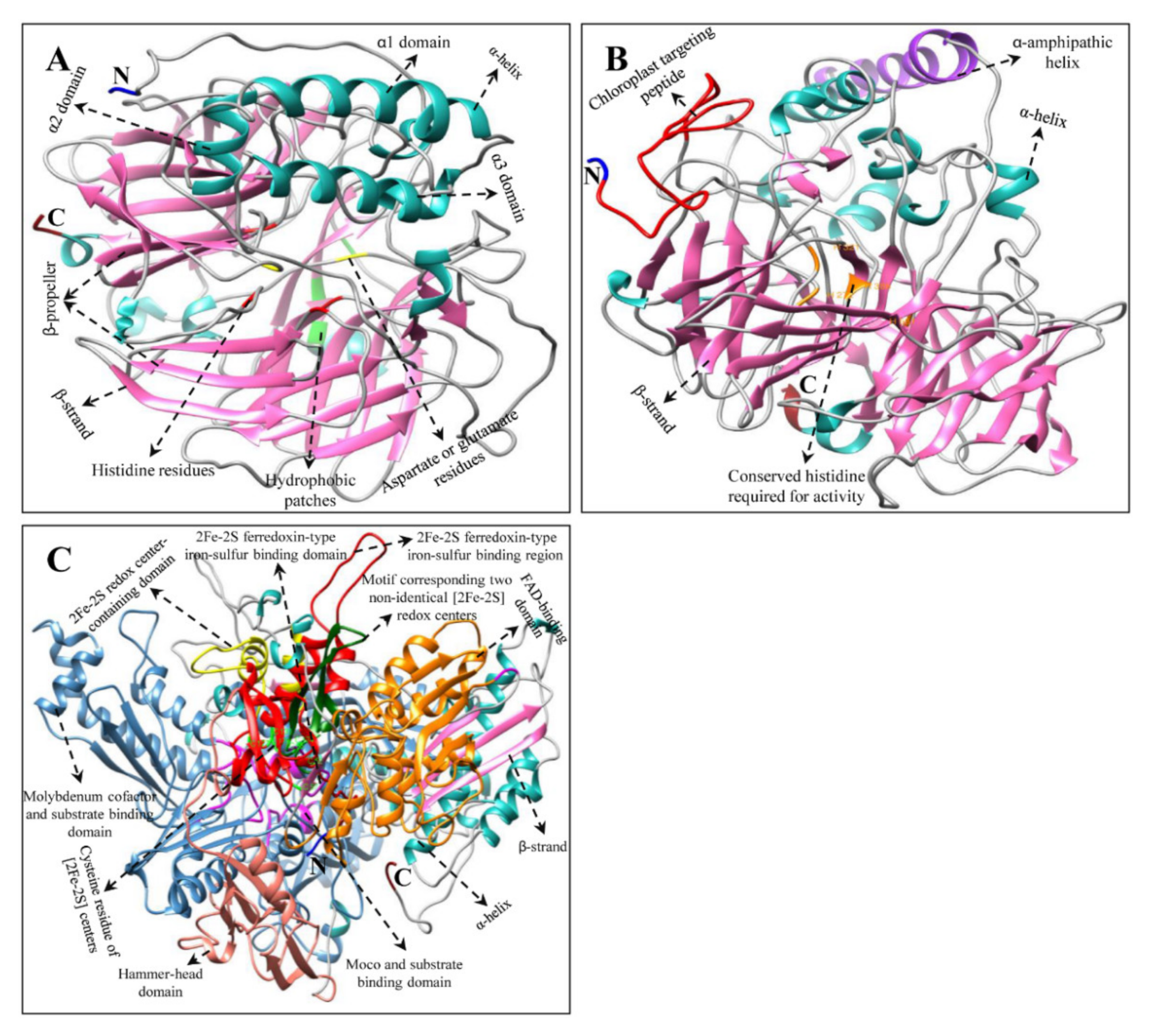 Ijms 23 04845 g006 550