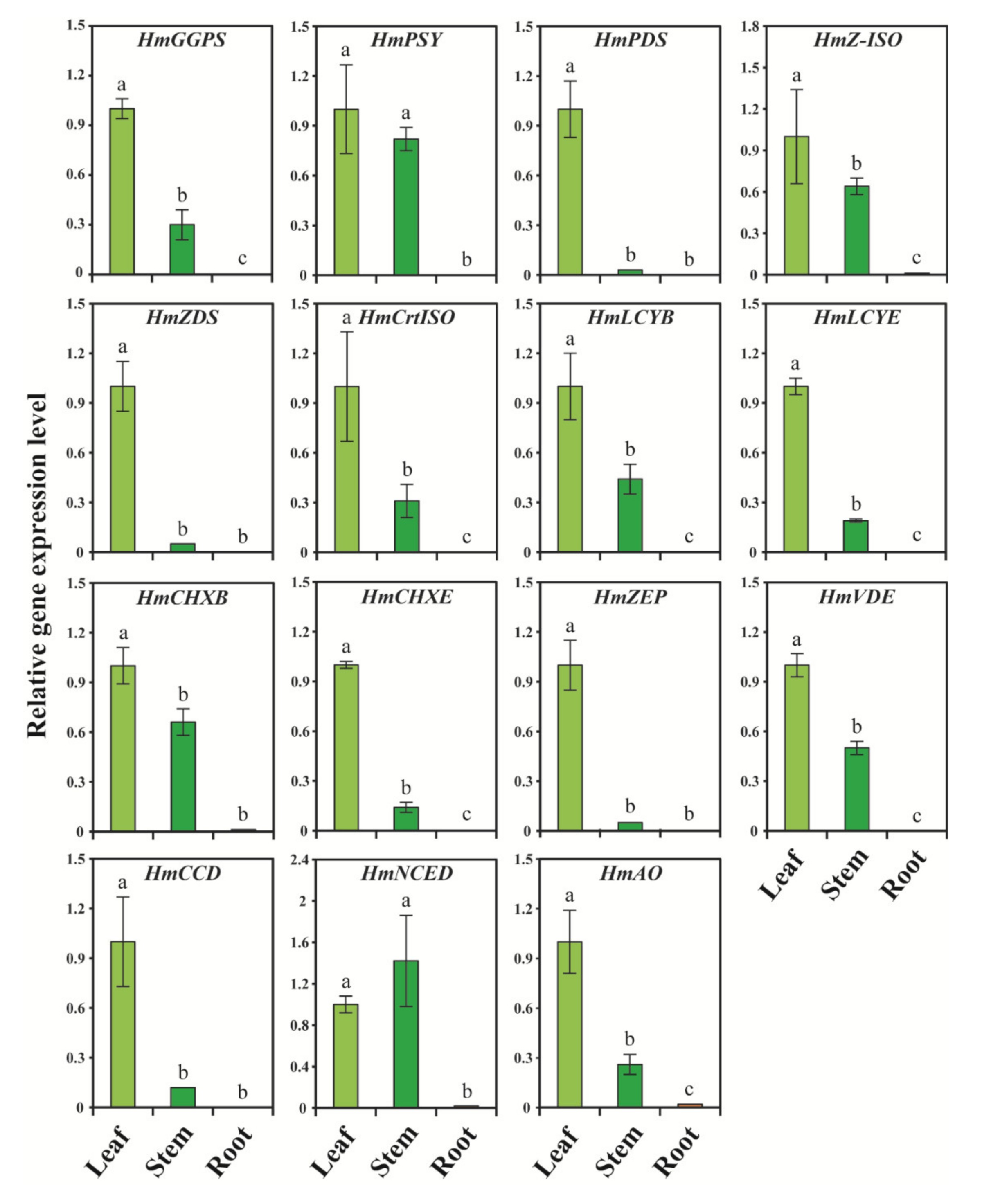 Ijms 23 04845 g007 550