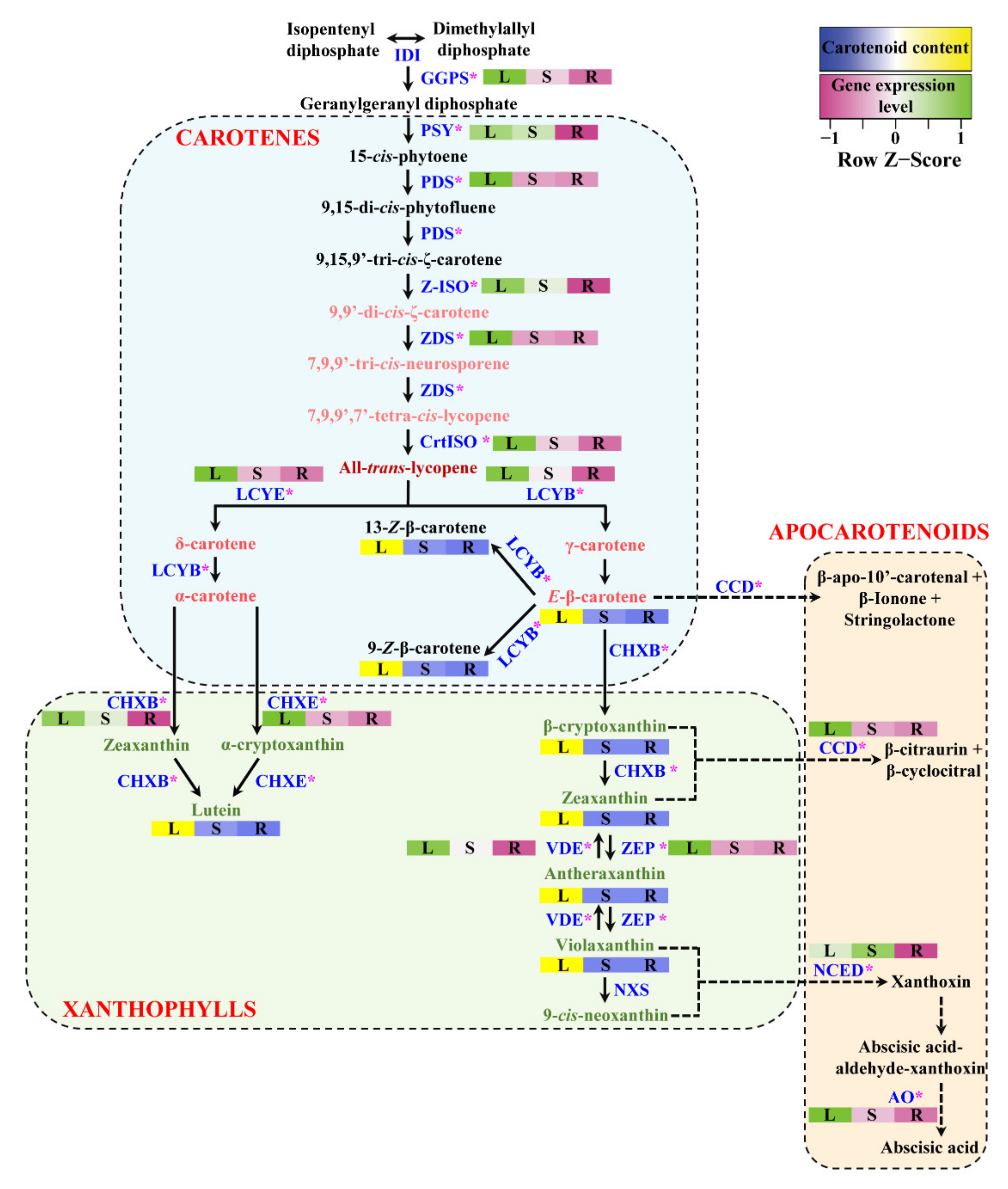 Ijms 23 04845 g009 550