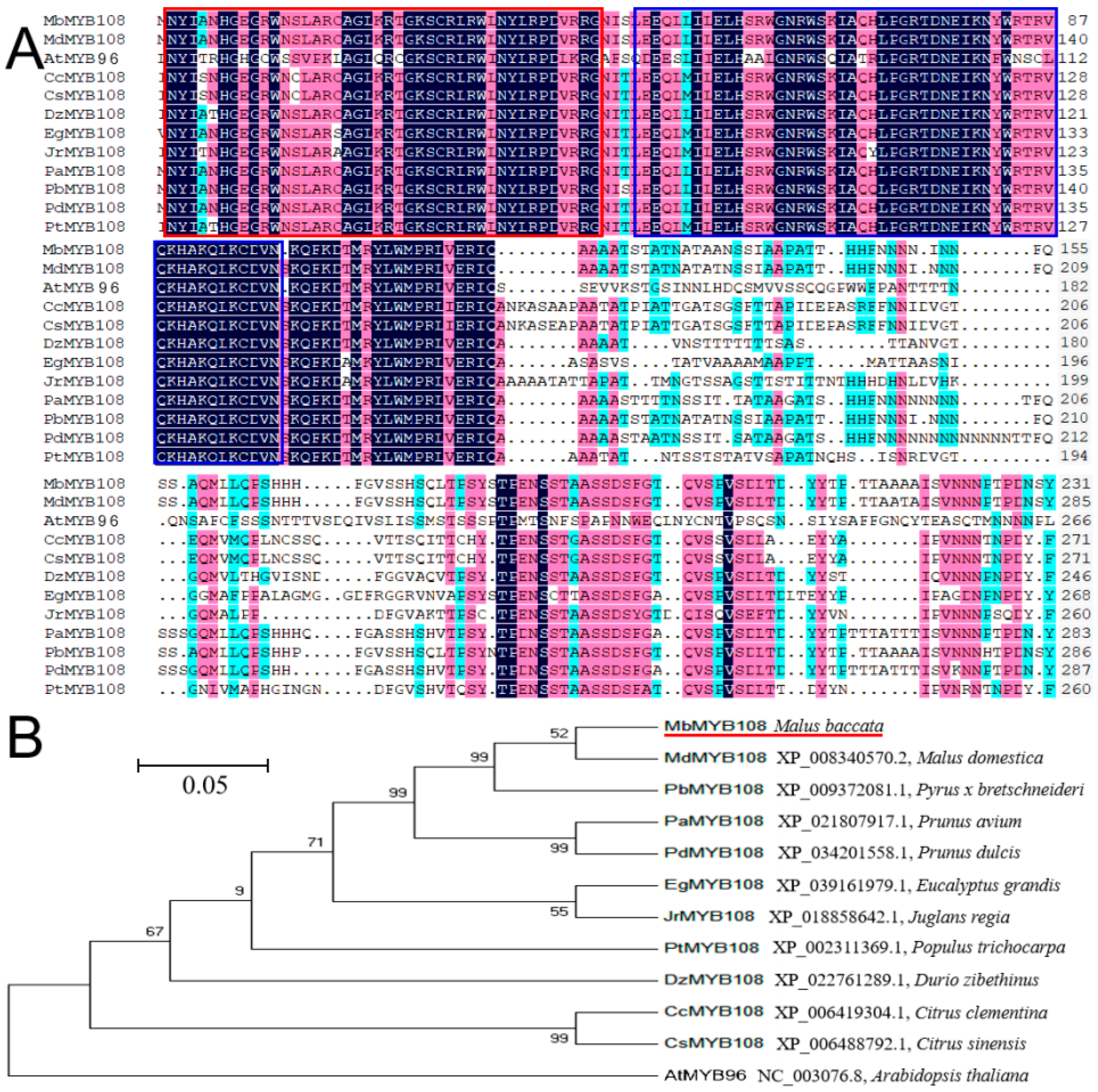 Ijms 23 04846 g001 550