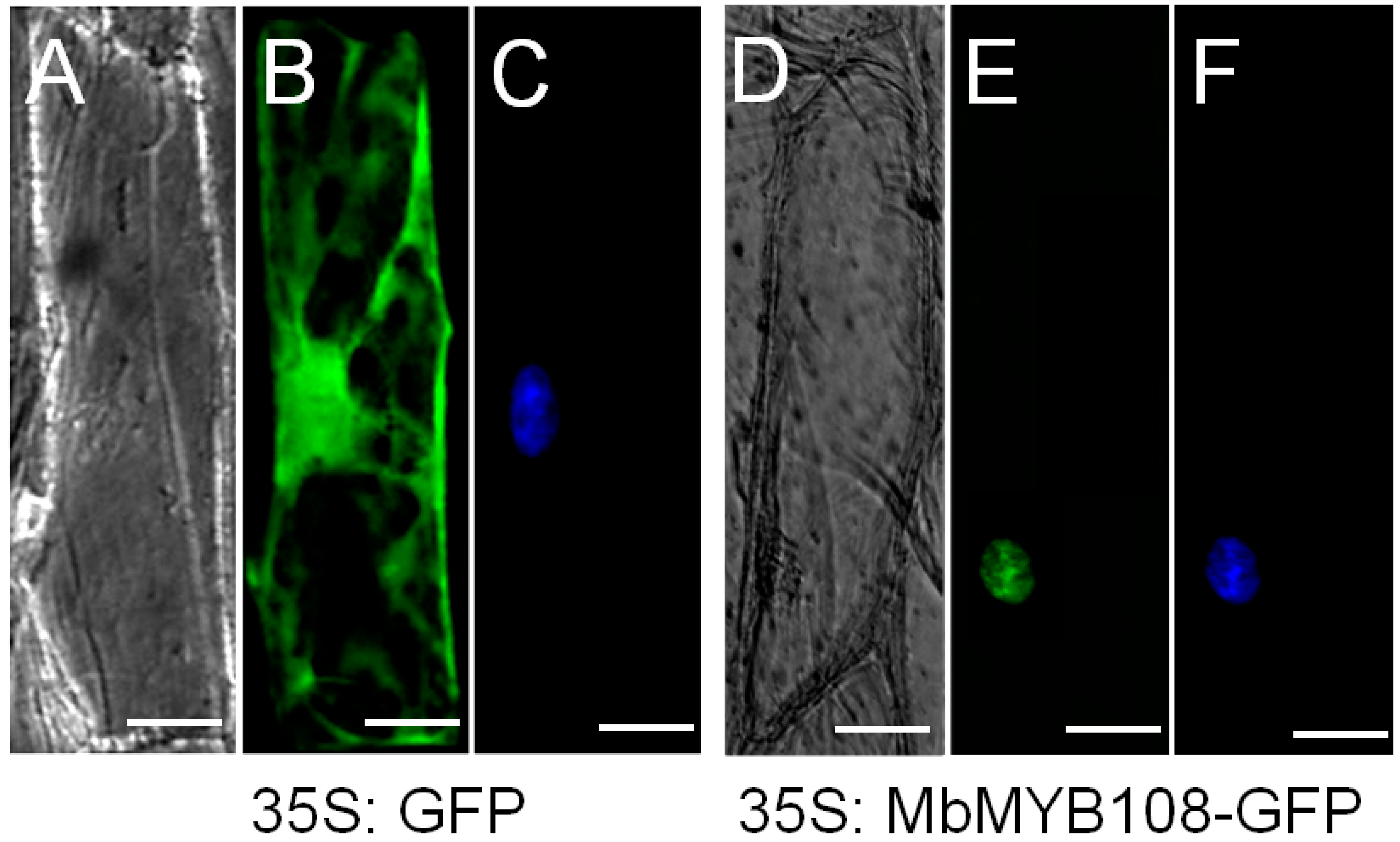 Ijms 23 04846 g003 550