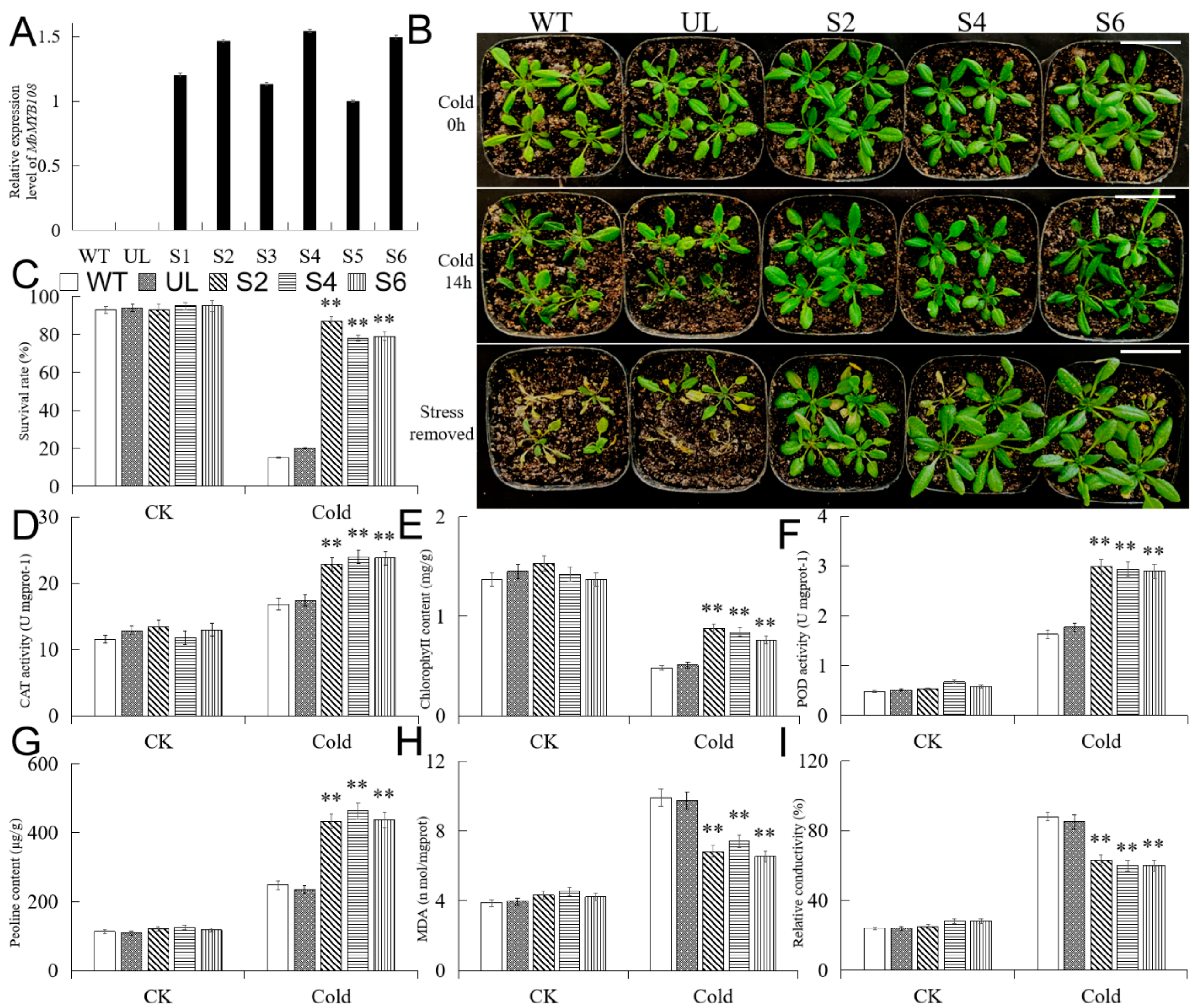 Ijms 23 04846 g005 550