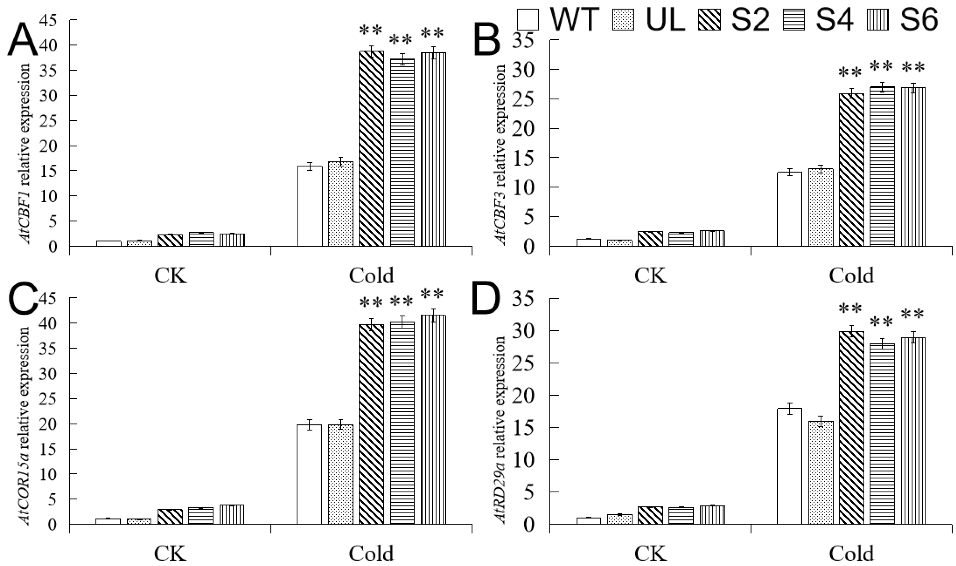 Ijms 23 04846 g006 550