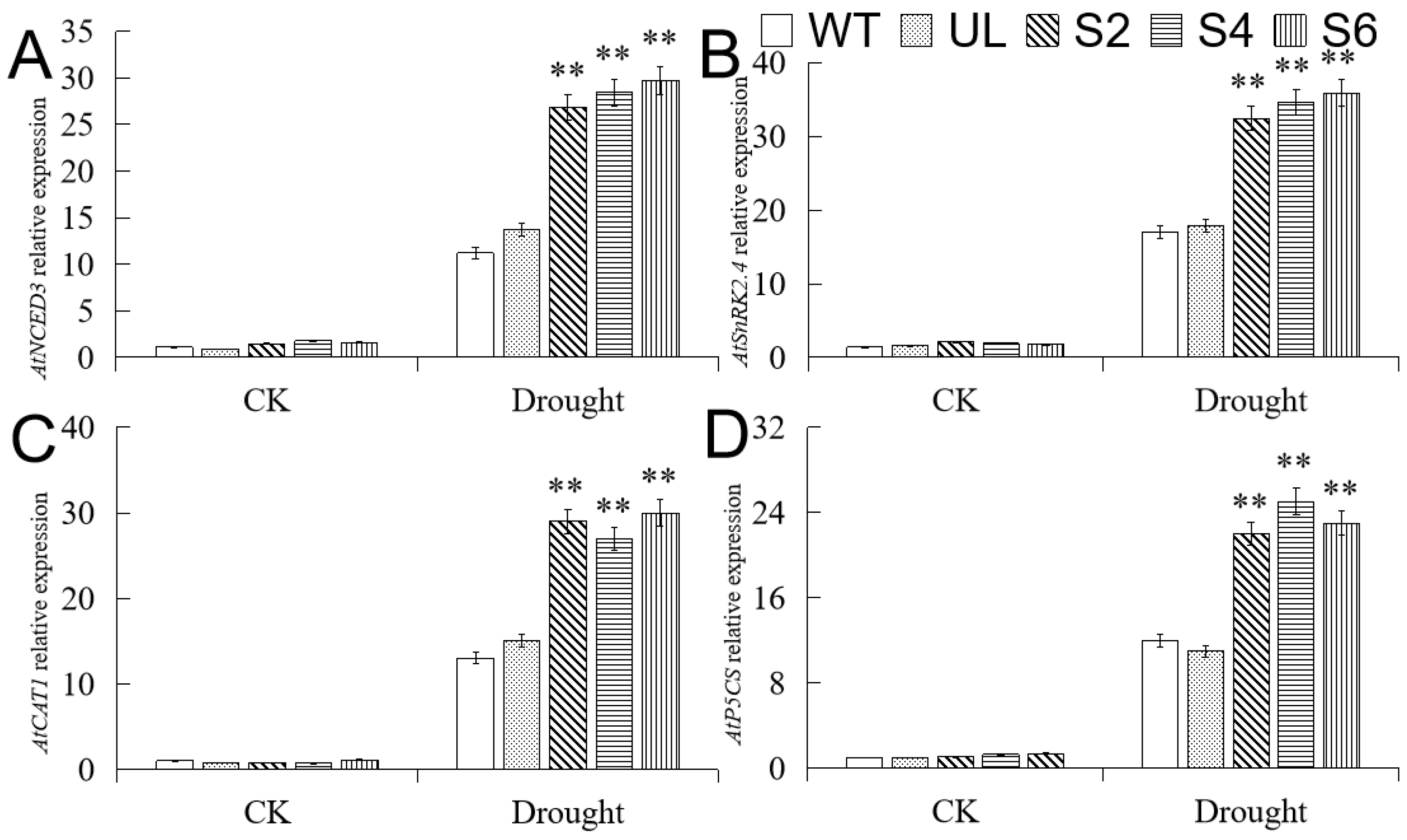 Ijms 23 04846 g008 550