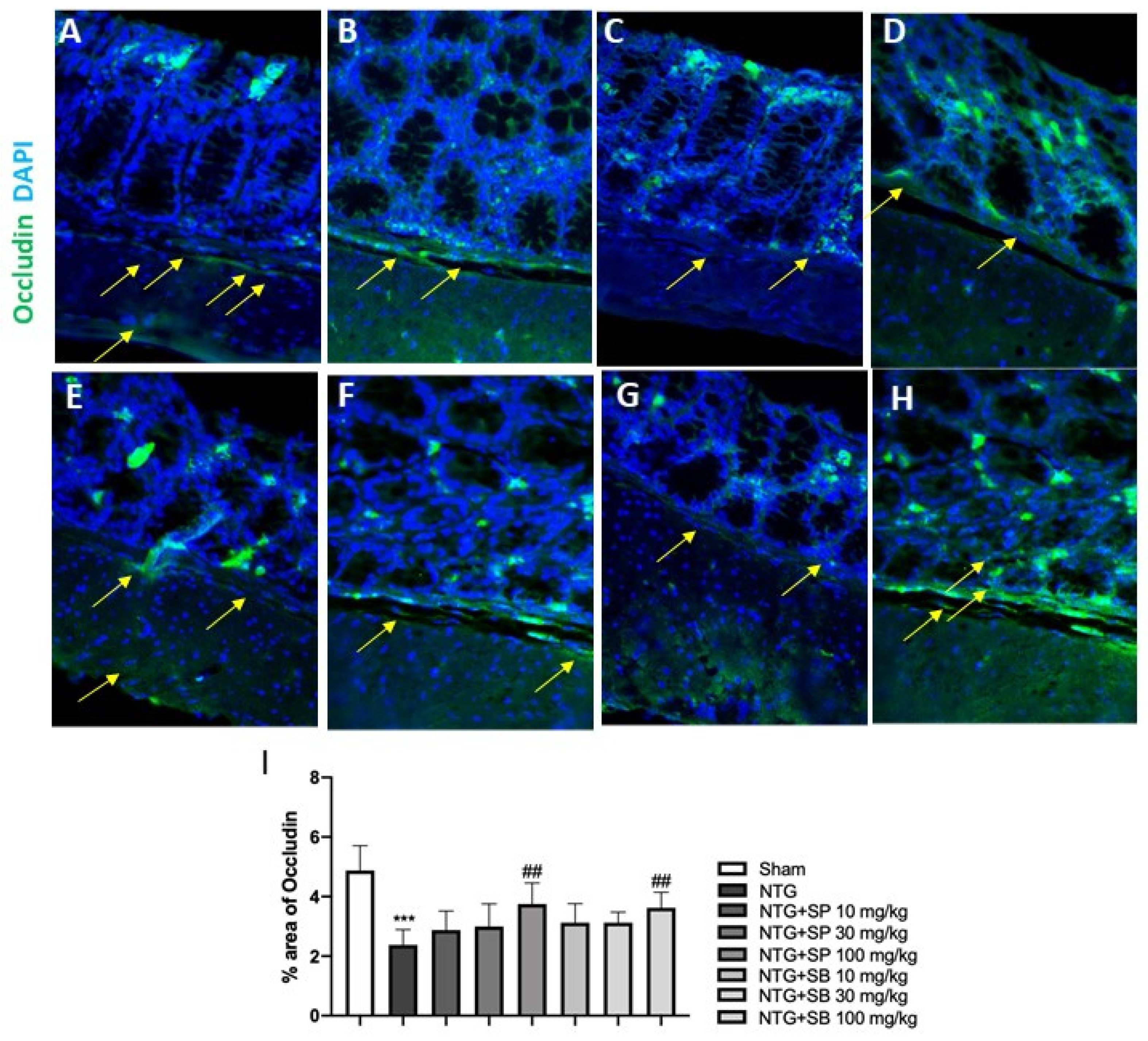 Ijms 23 04847 g005 550
