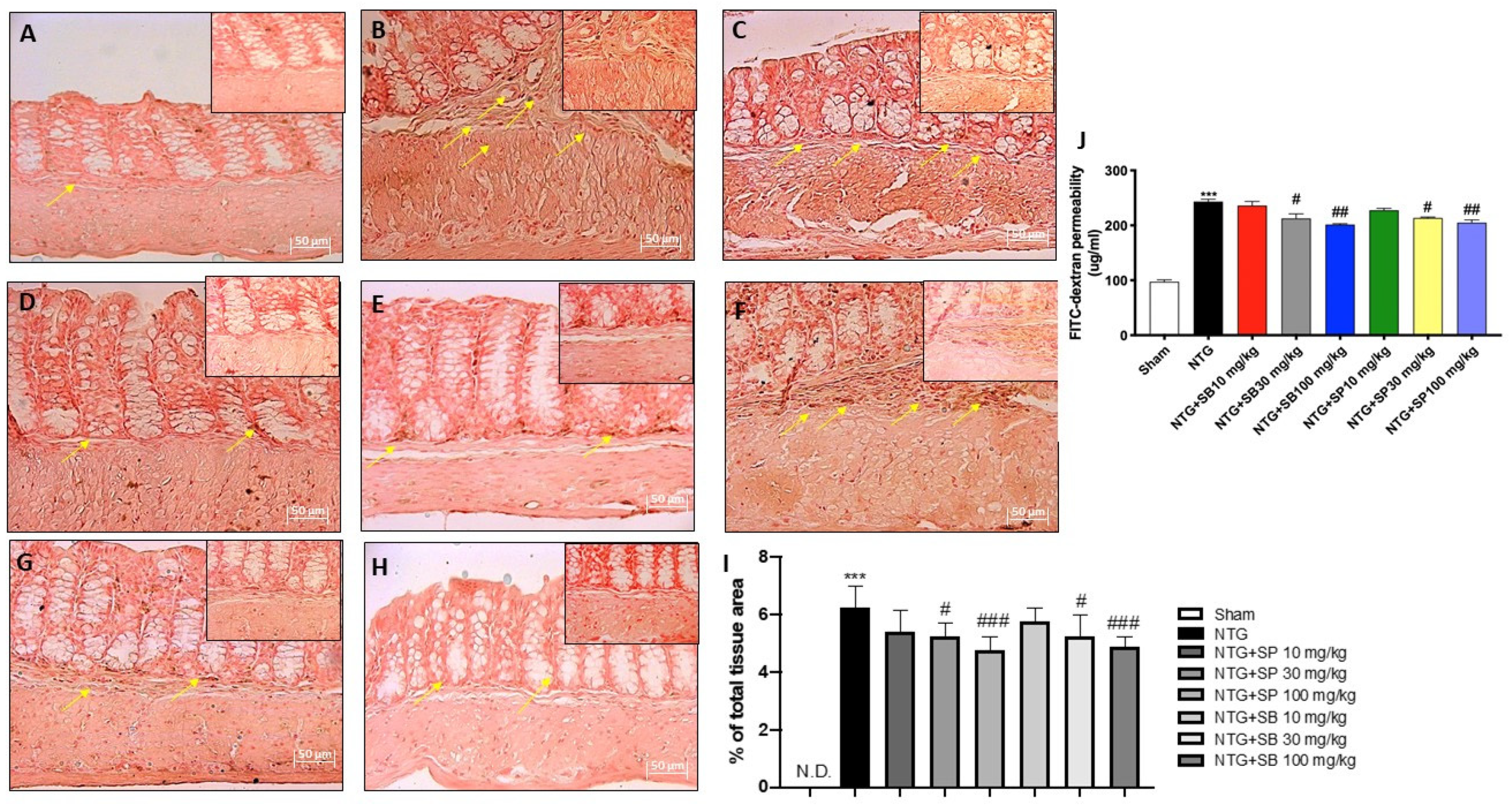 Ijms 23 04847 g007 550