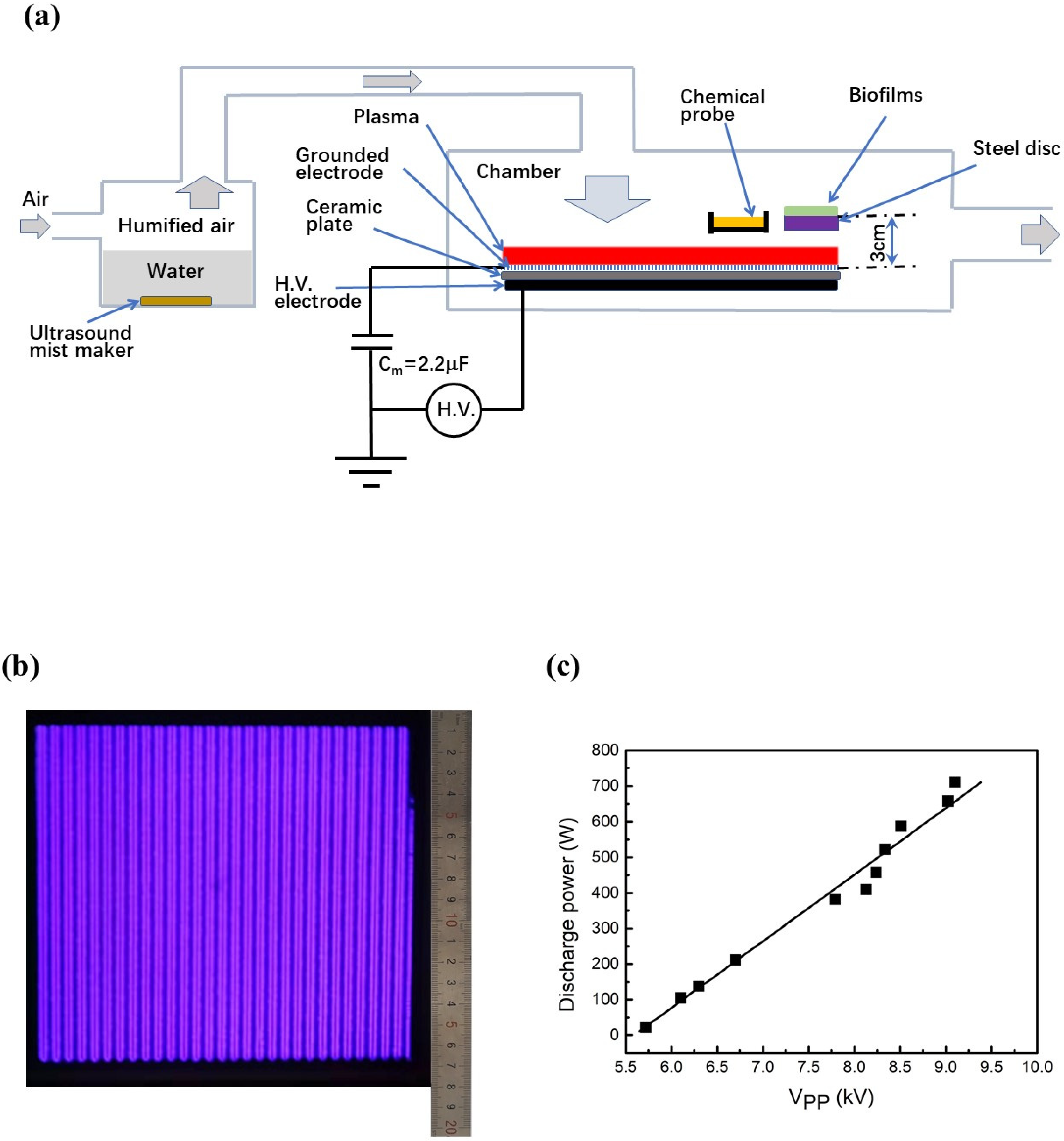 Ijms 23 04856 g001 550