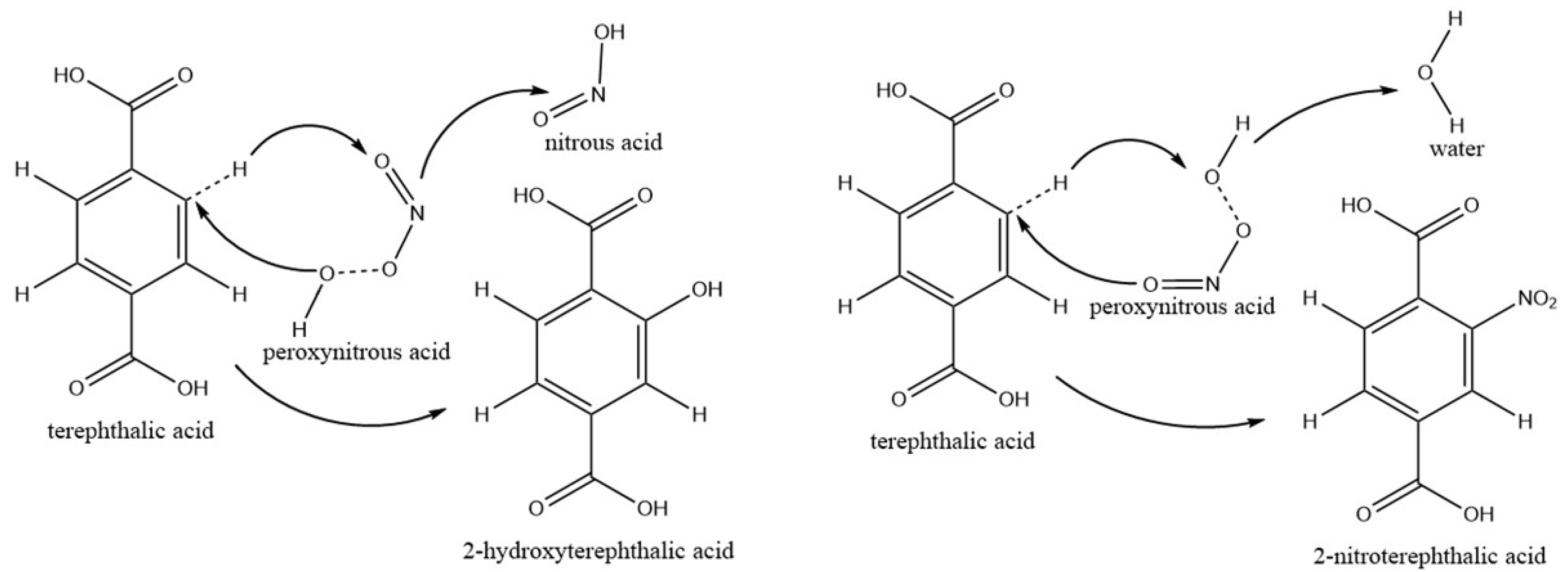 Ijms 23 04856 g007 550