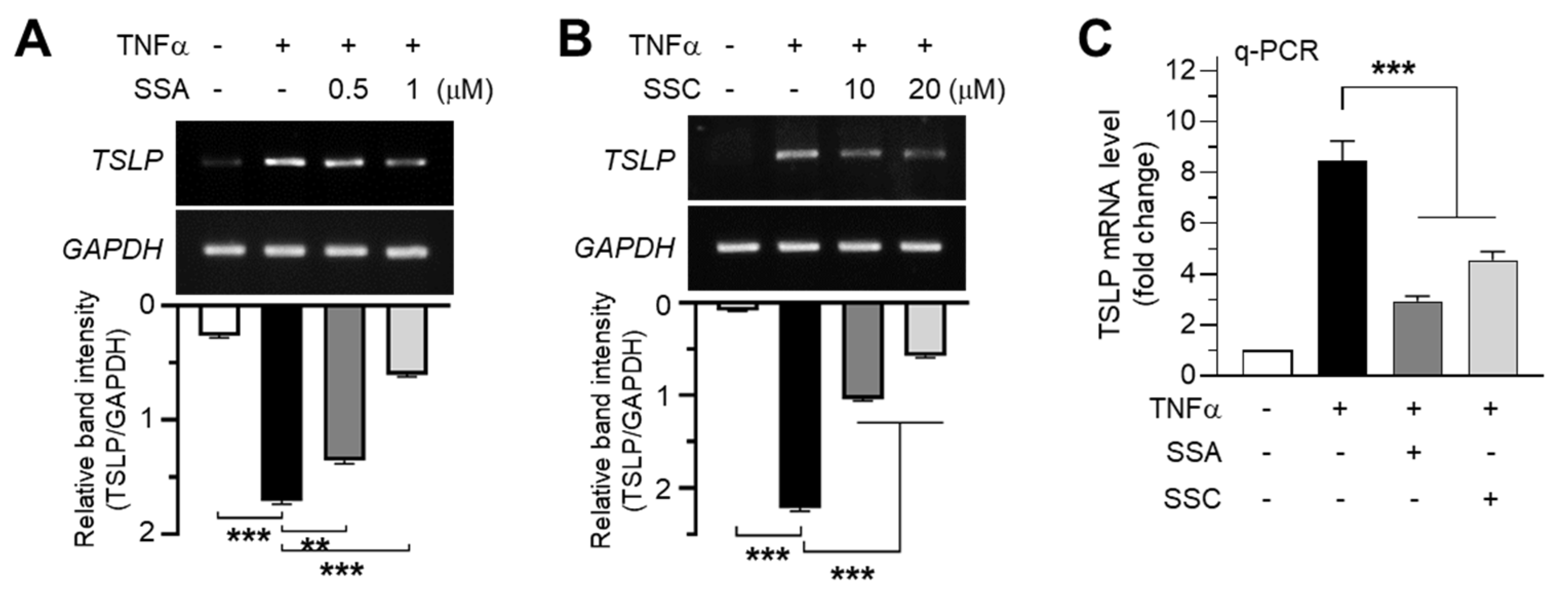 Ijms 23 04857 g002 550