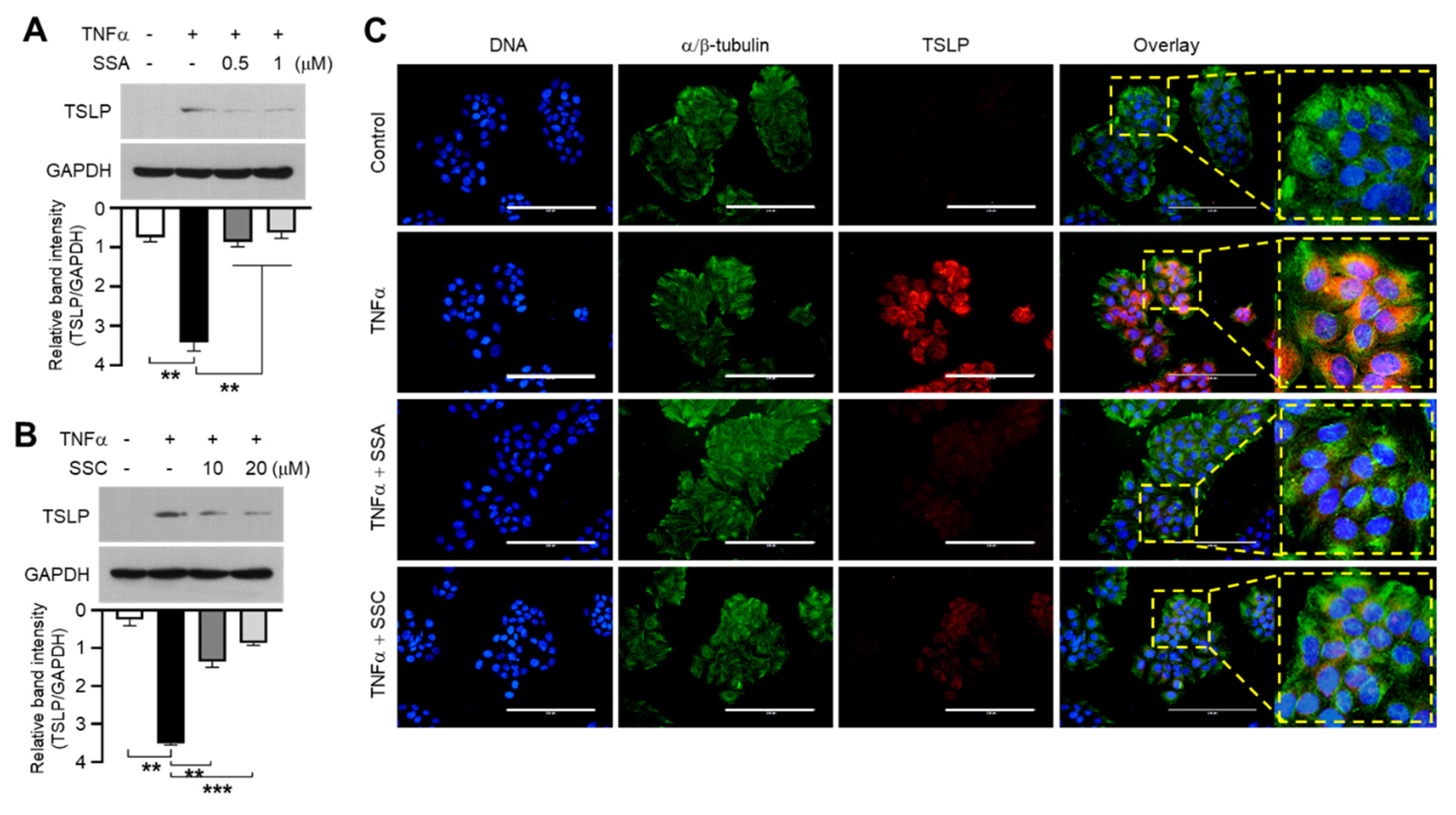Ijms 23 04857 g003 550