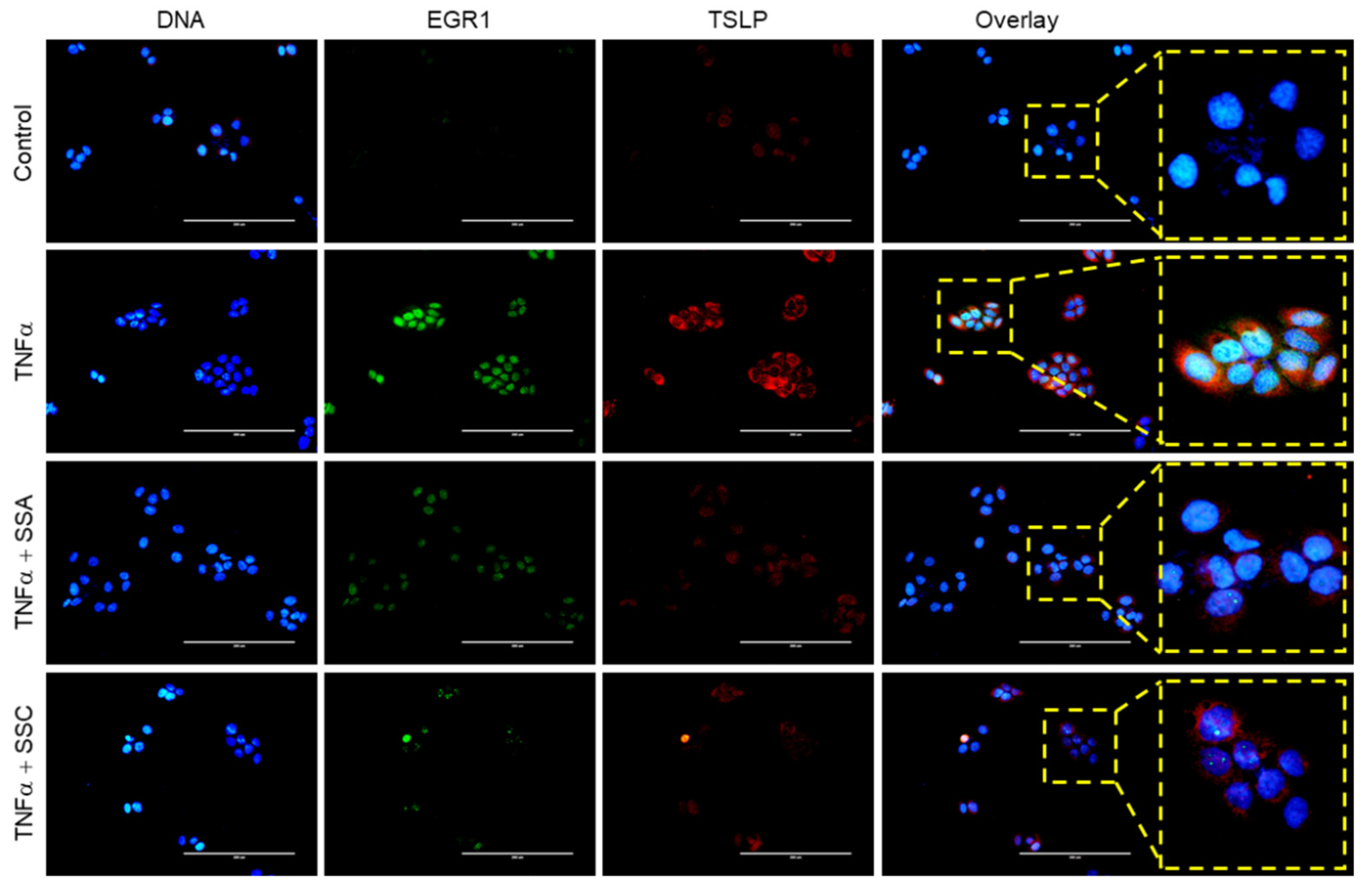 Ijms 23 04857 g006 550