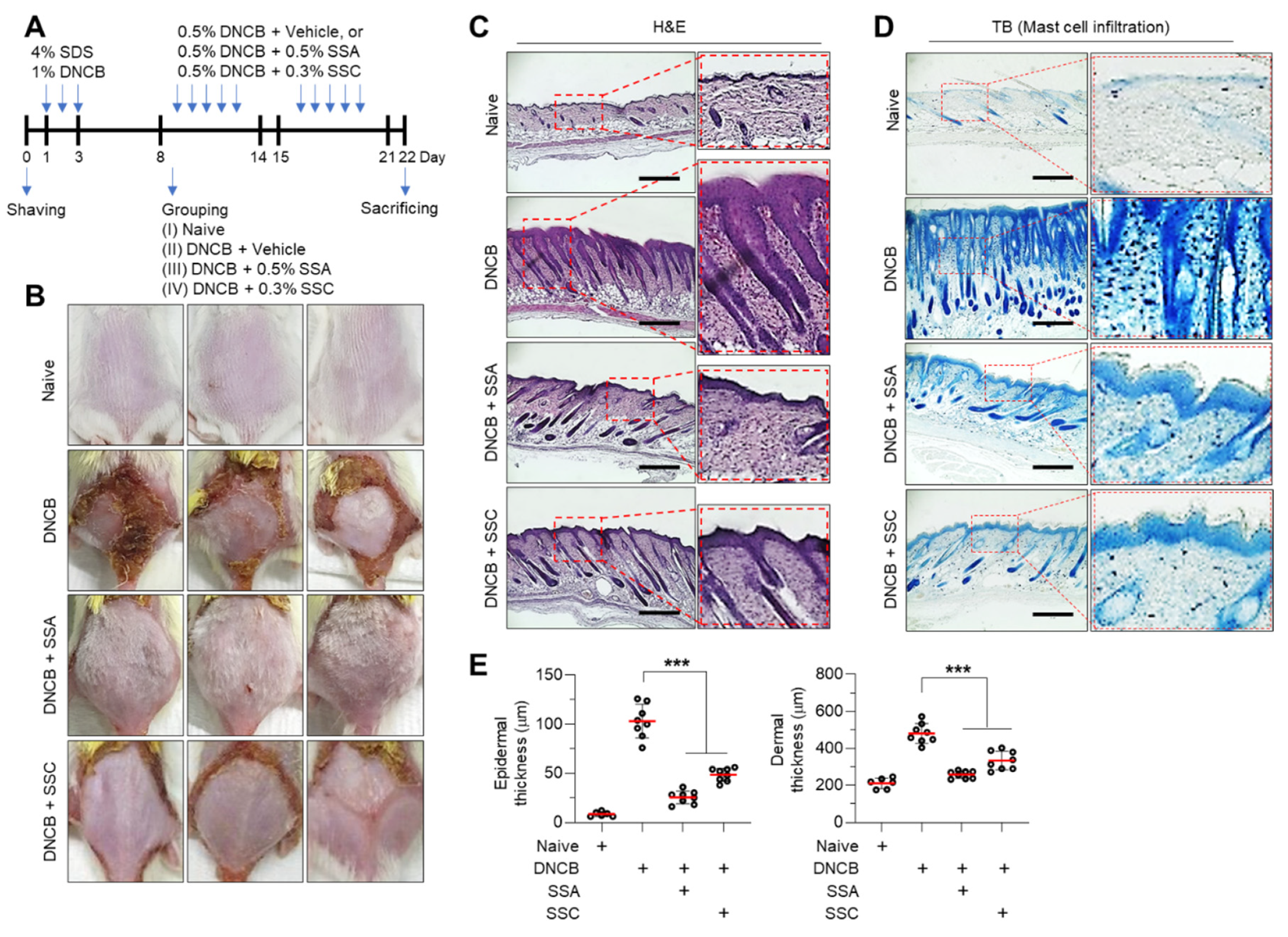 Ijms 23 04857 g008 550