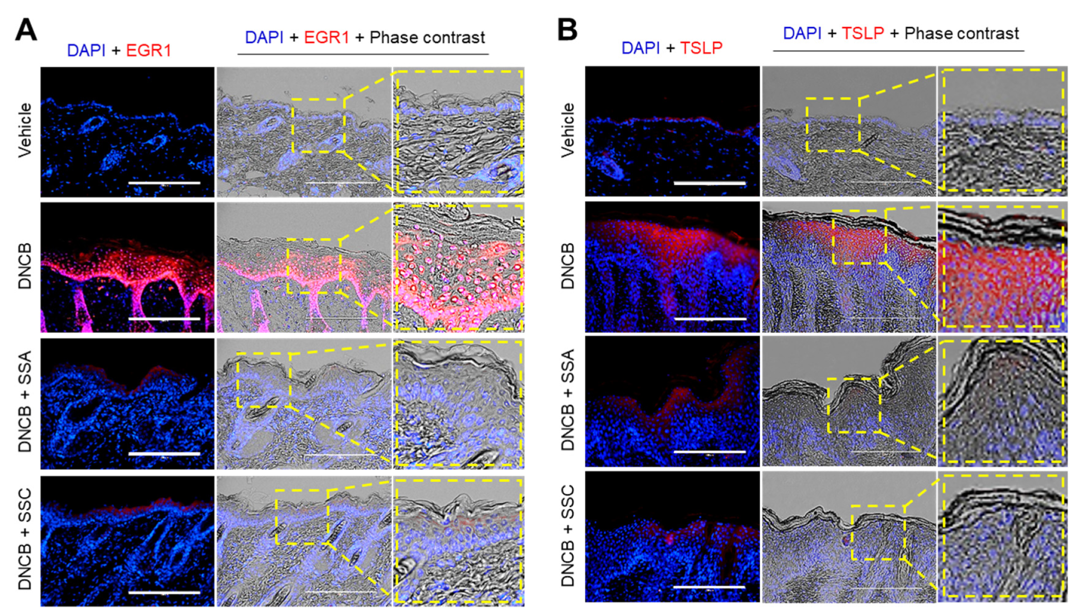 Ijms 23 04857 g009 550