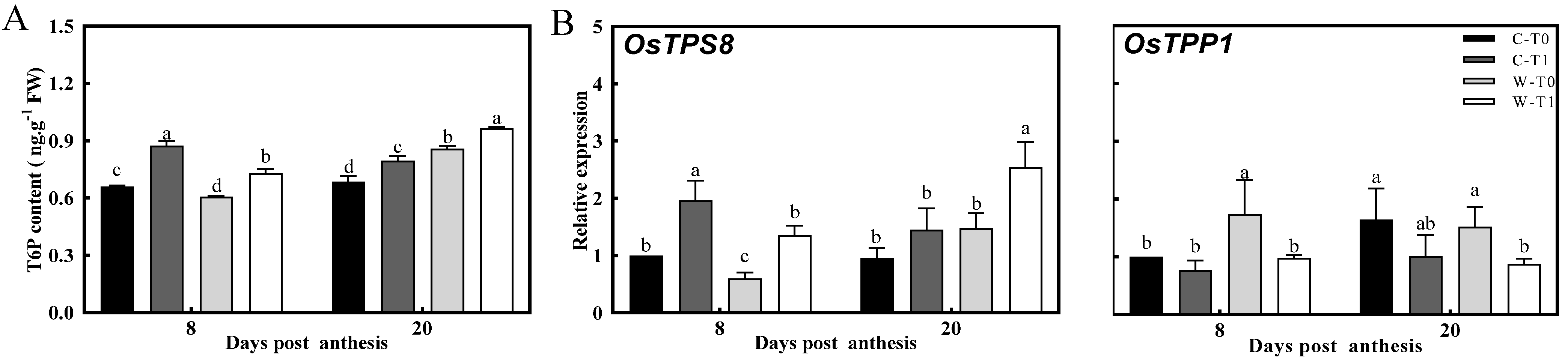 Ijms 23 04864 g004 550