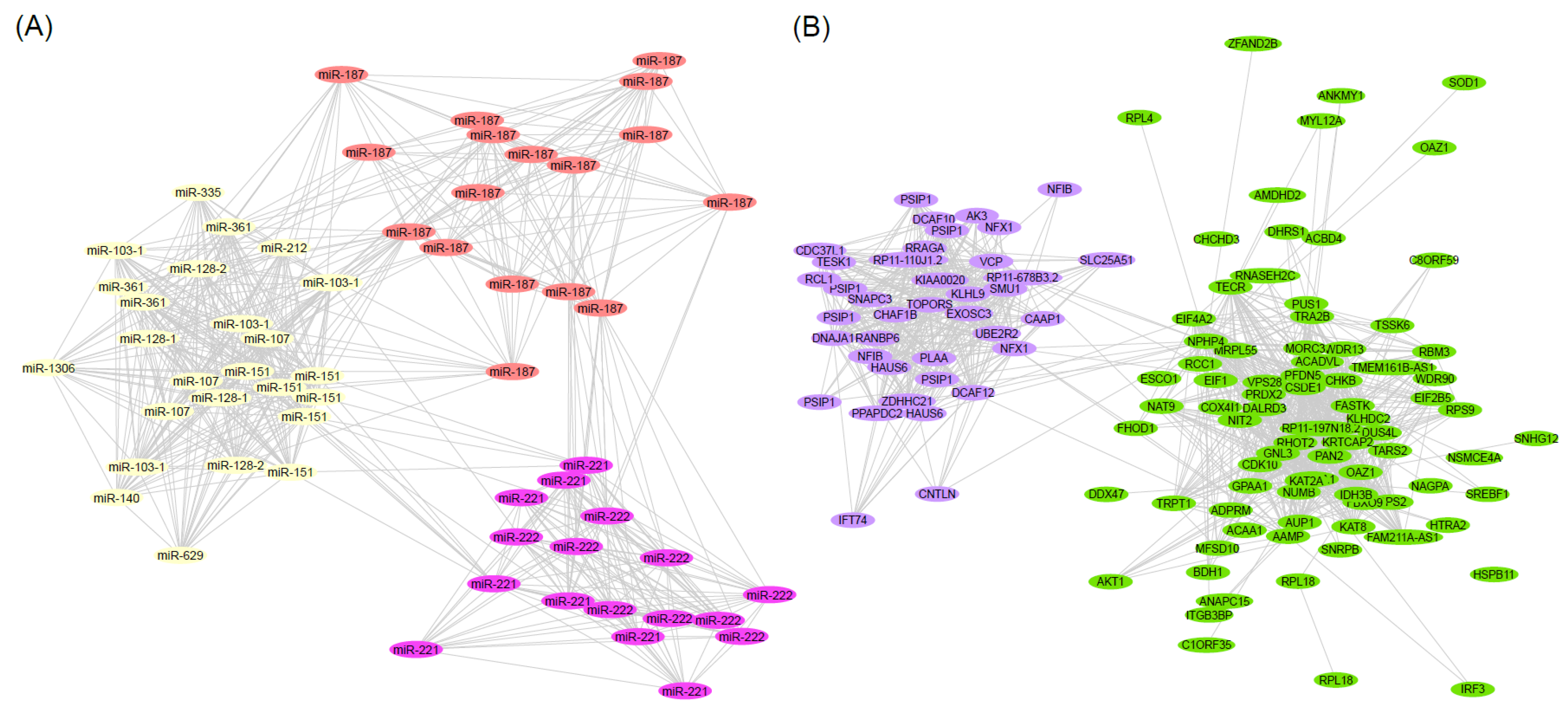 Ijms 23 04875 g003 Ijms 23 04875 g003