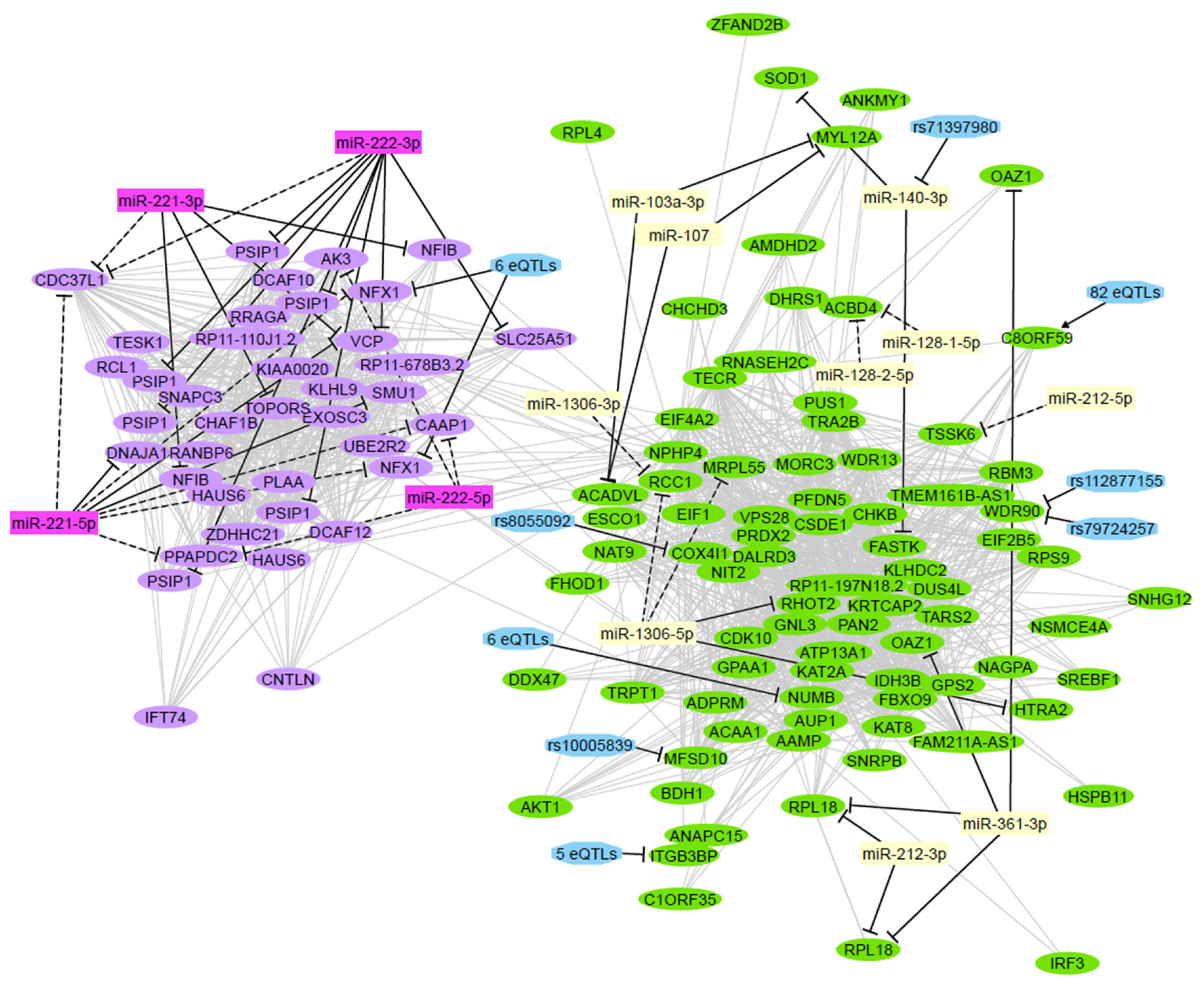 Ijms 23 04875 g004 Ijms 23 04875 g004