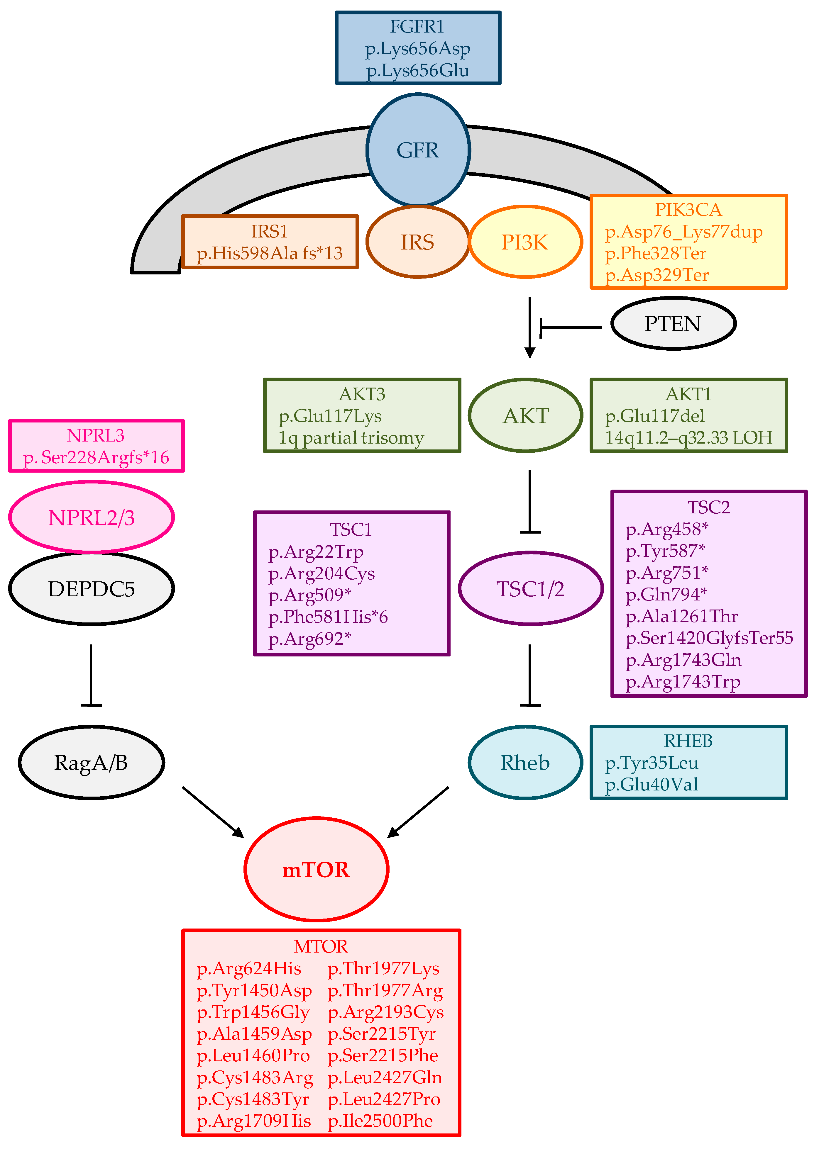 Ijms 23 04879 g001 550