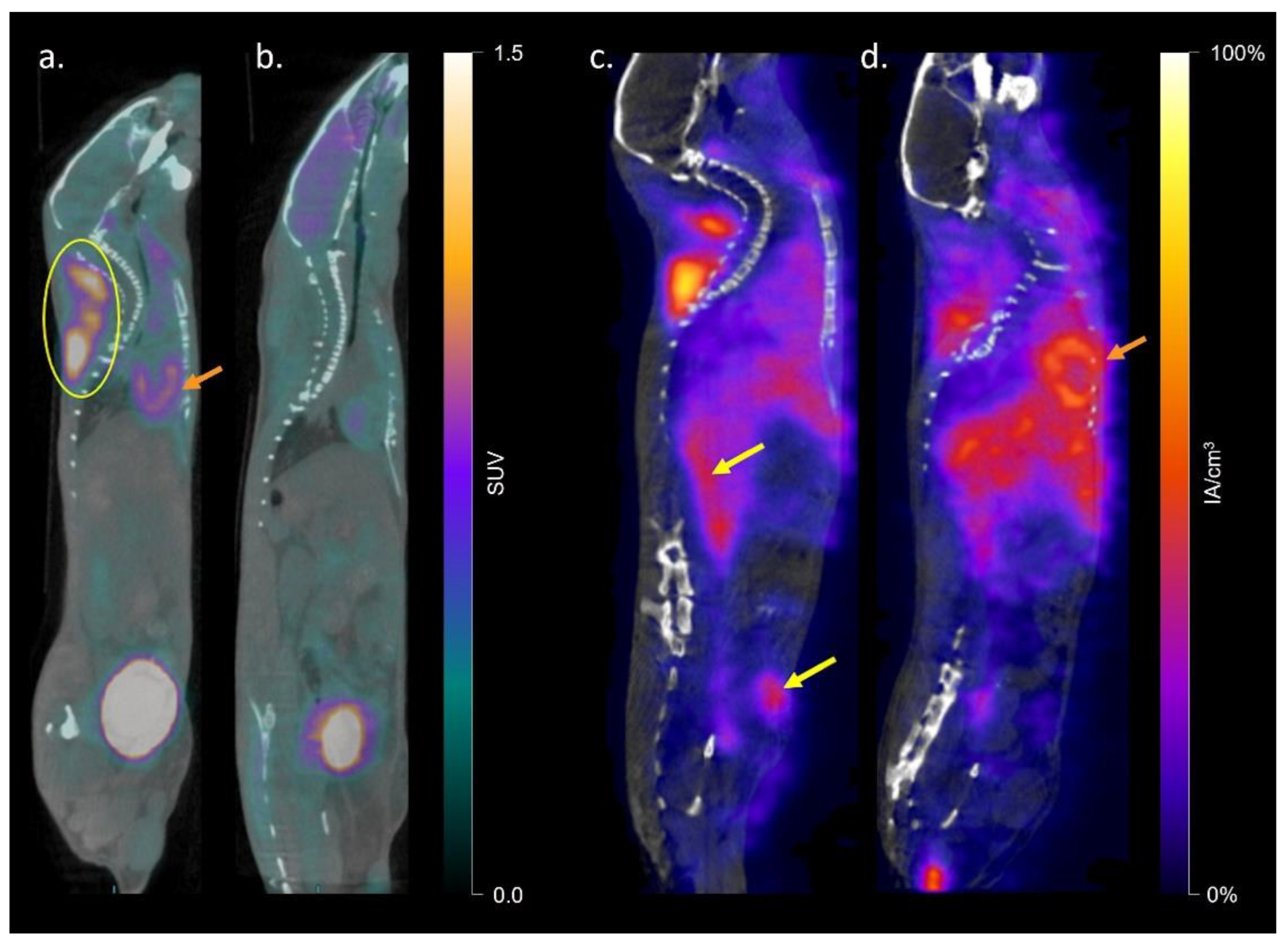 Ijms 23 04880 g001 550