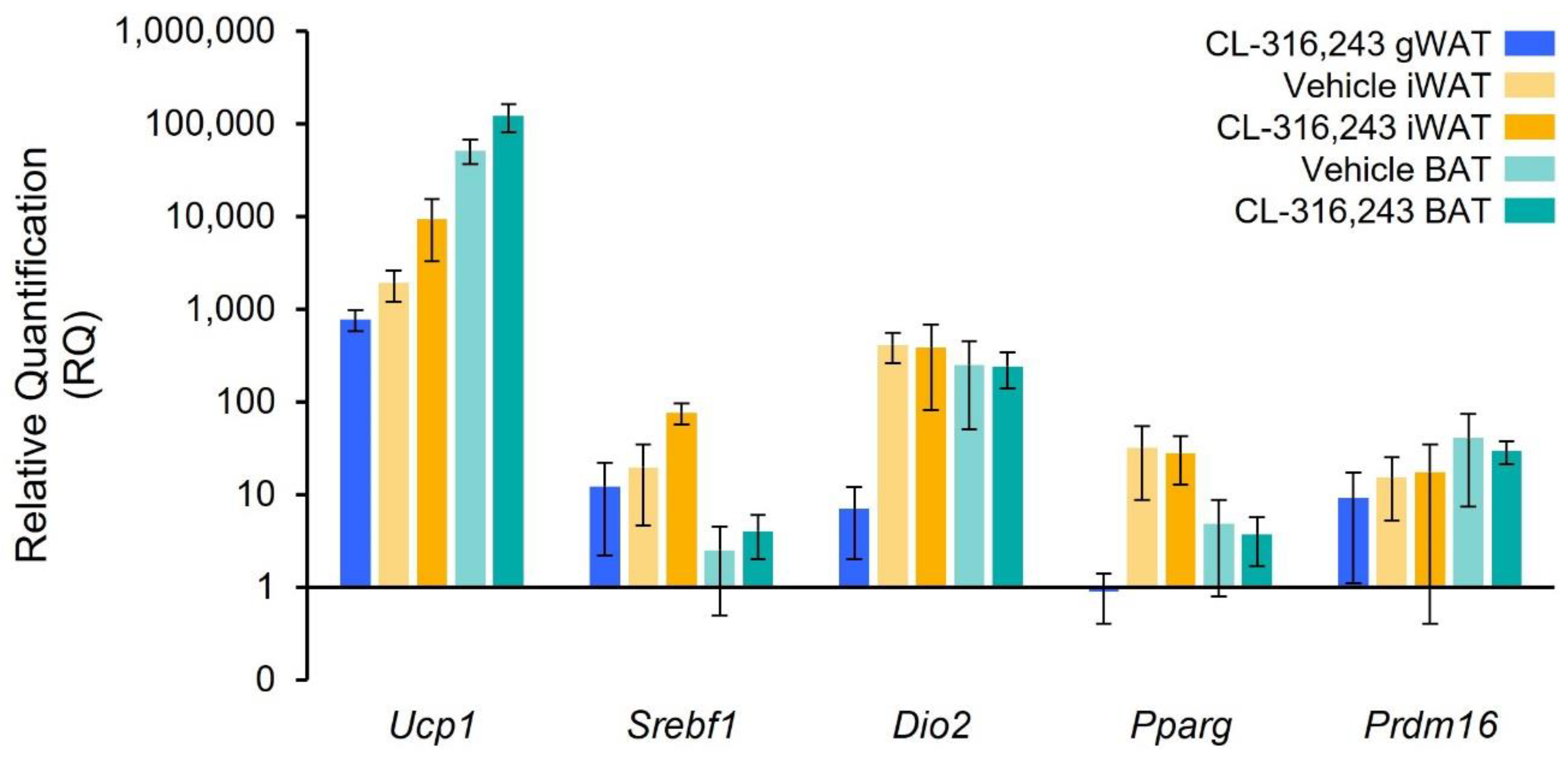 Ijms 23 04880 g005 550