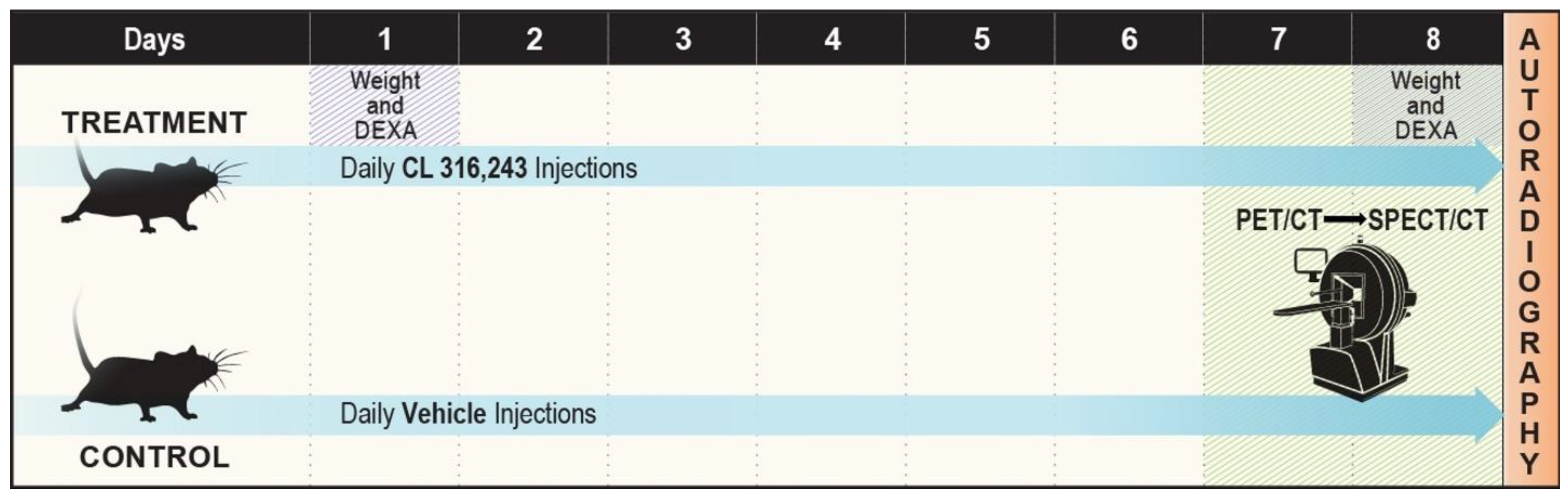 Ijms 23 04880 g006 550
